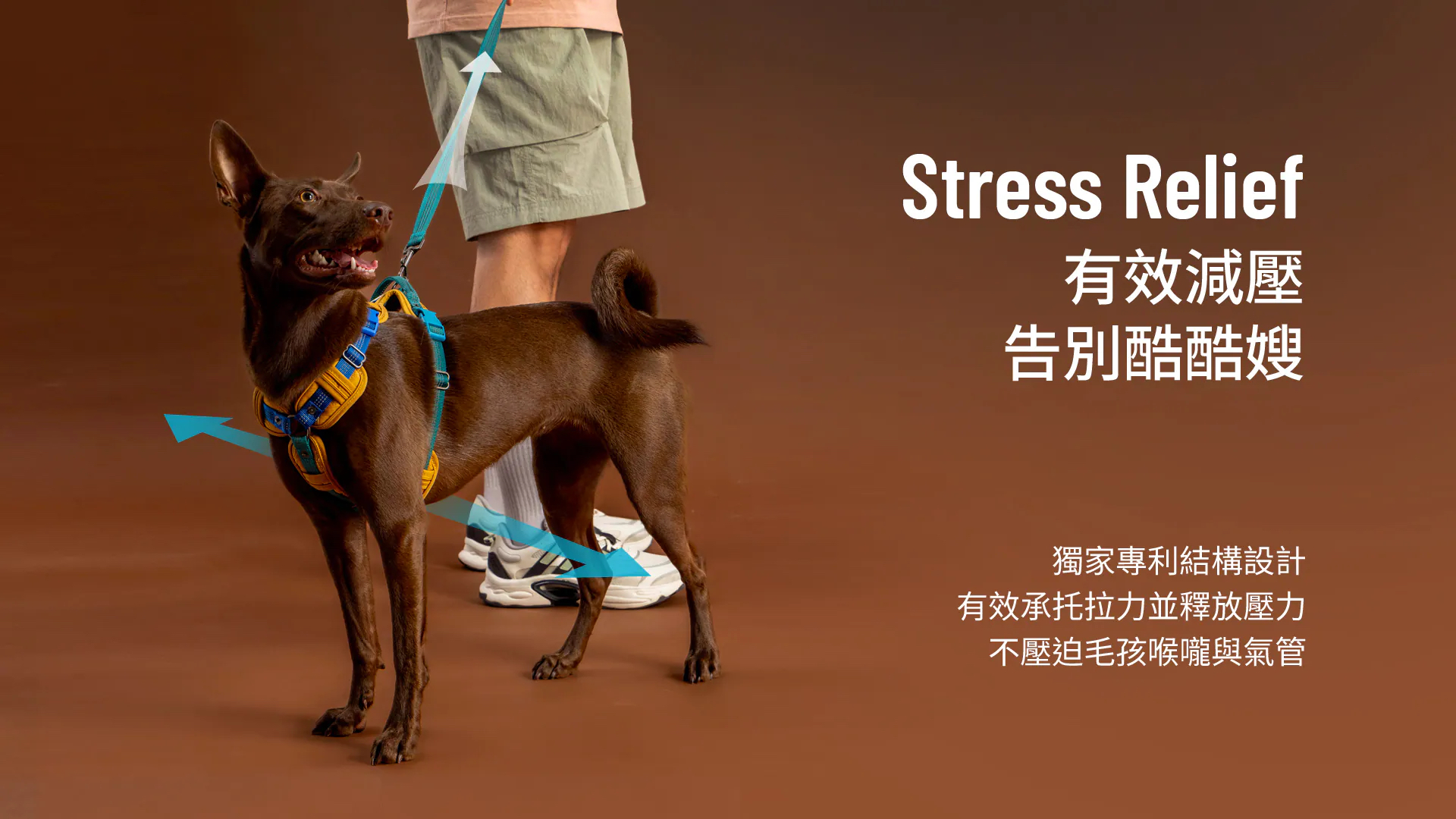 HORHORJOY 胸背帶 (鉑金款 紫)