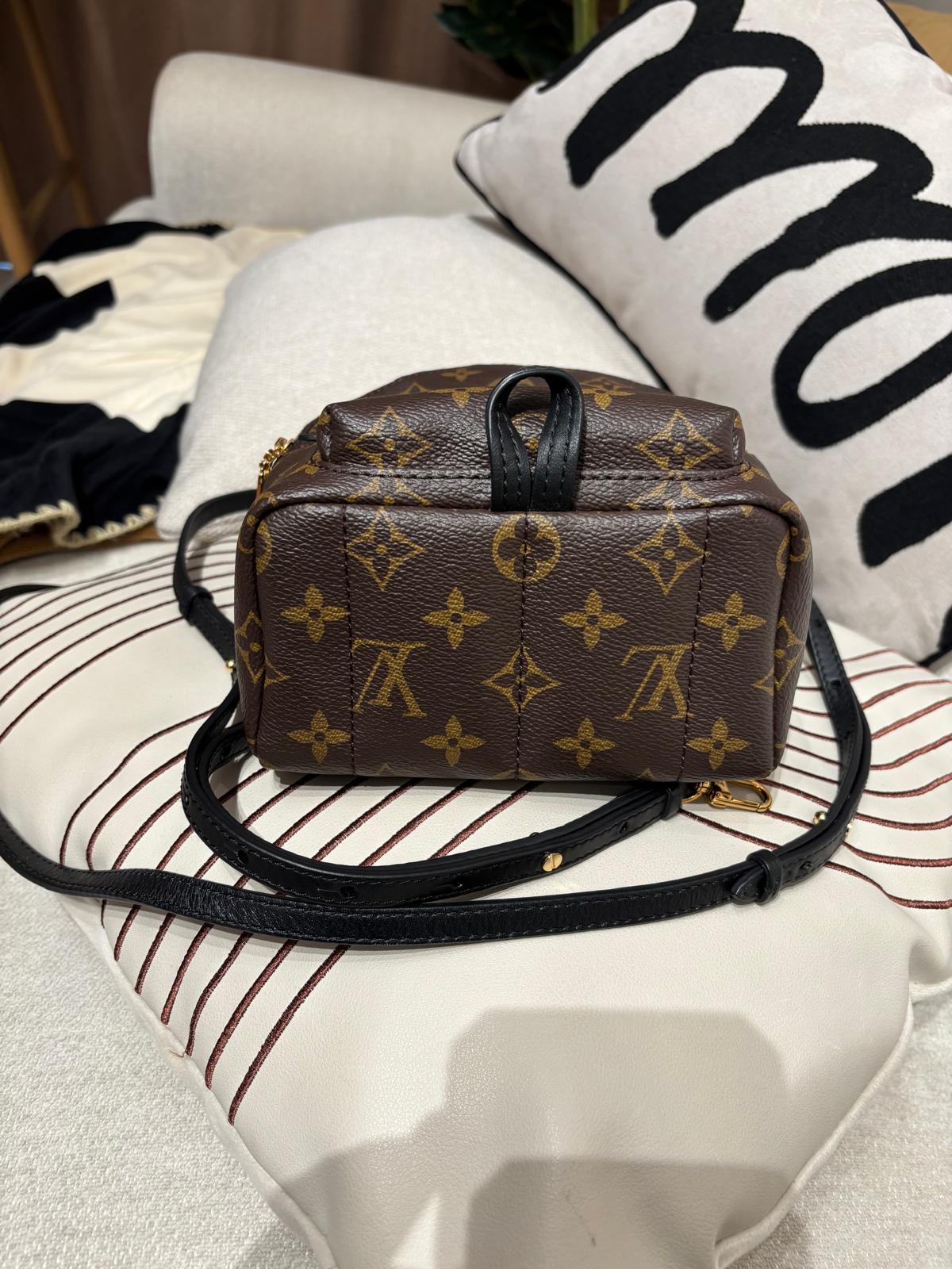 Lv mini Palm Springs backpack M44873 100%Authentic ,98%new ✅dust bag✅Strap
