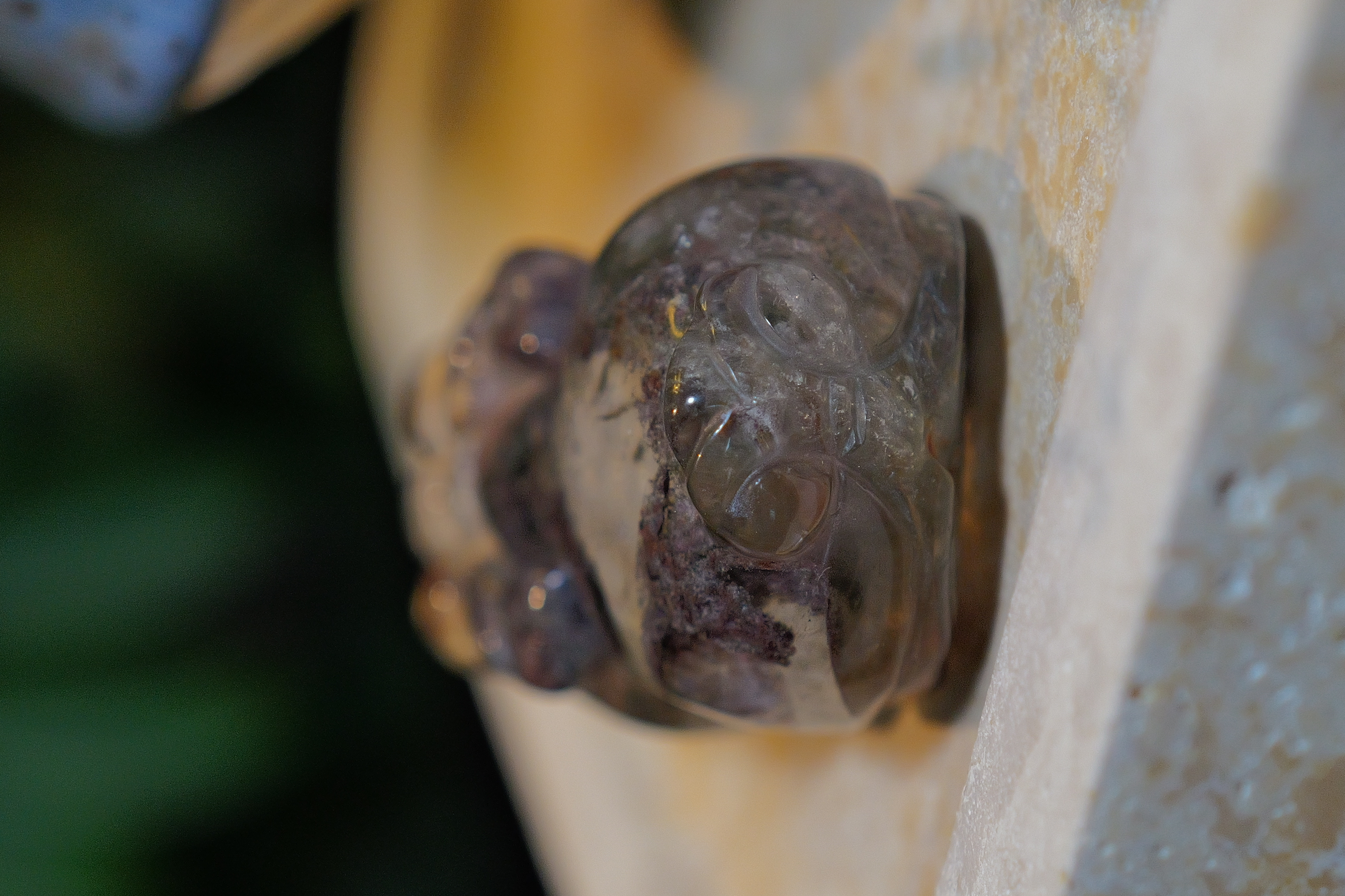 ༒6.2cm紅綠幽靈金錢貔貅擺件༒ PU.1238H5JG1FS-RA18*7ss