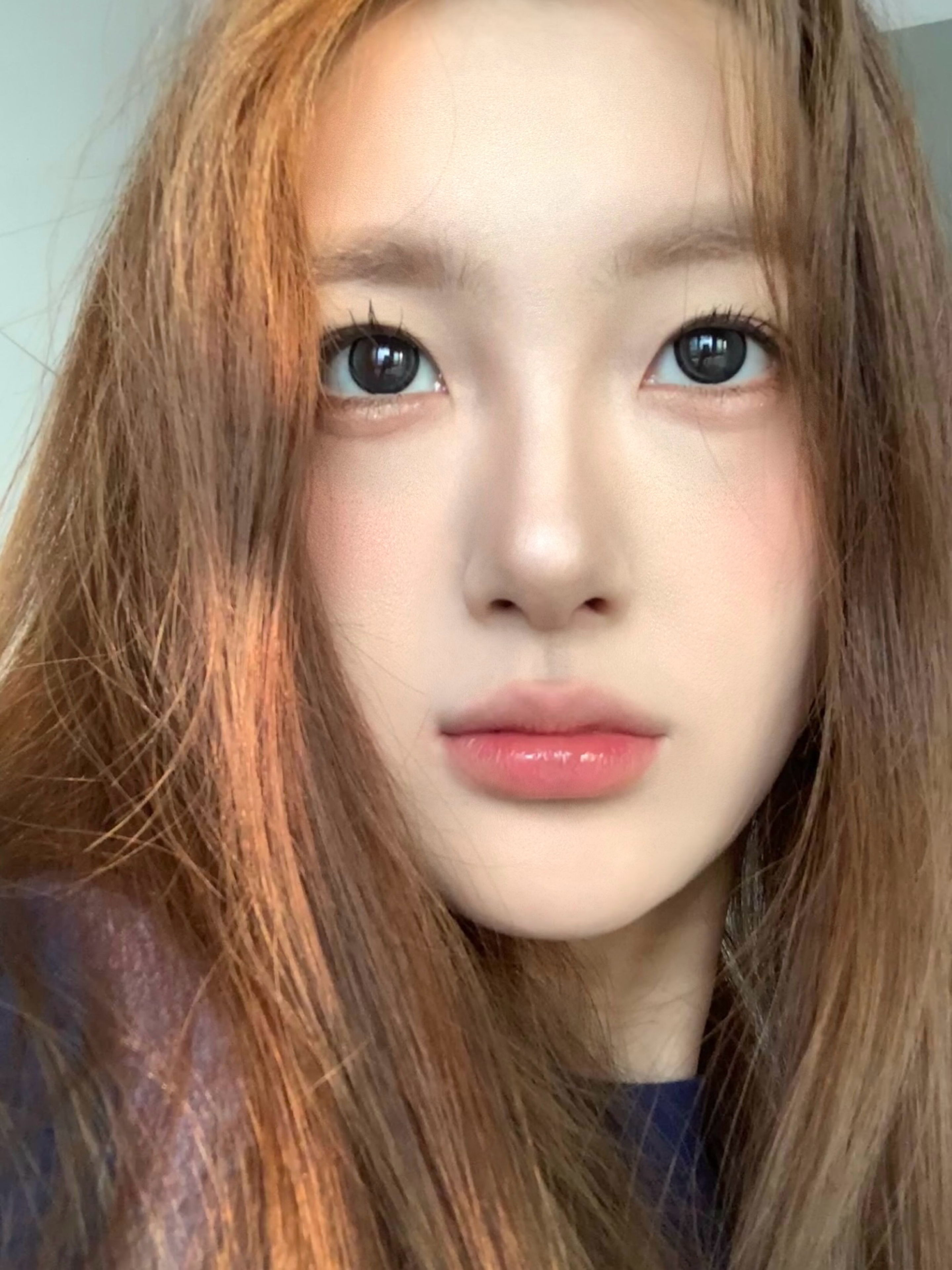 Serltyca 半年拋 日常自然款