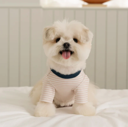 Bite Me🇰🇷SSFW Mellow Stripe T-Shirt 柔和條紋四季打底衫 (3色)