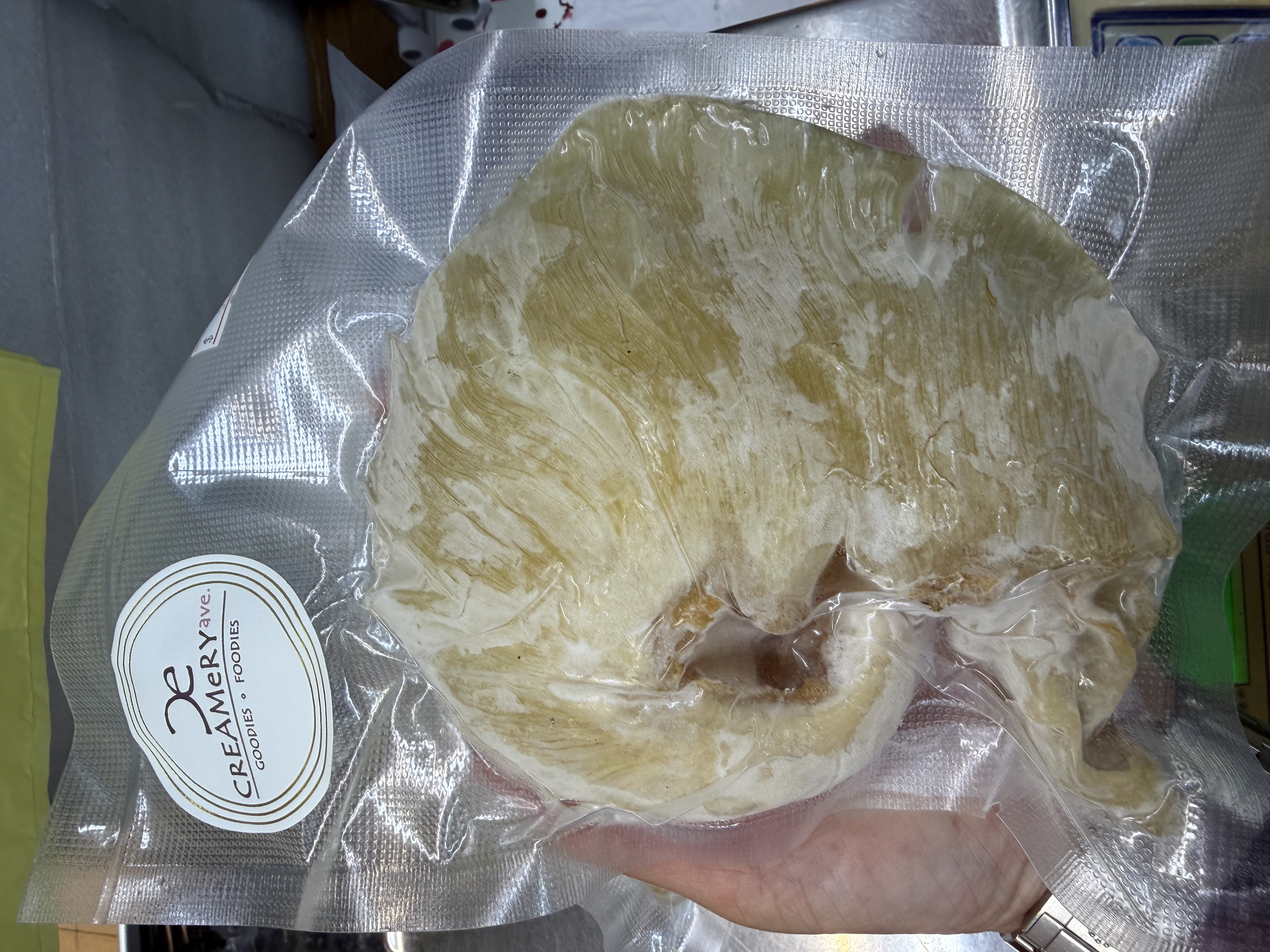 靚靚急凍金山勾翅 （大）±5両-7両/隻 