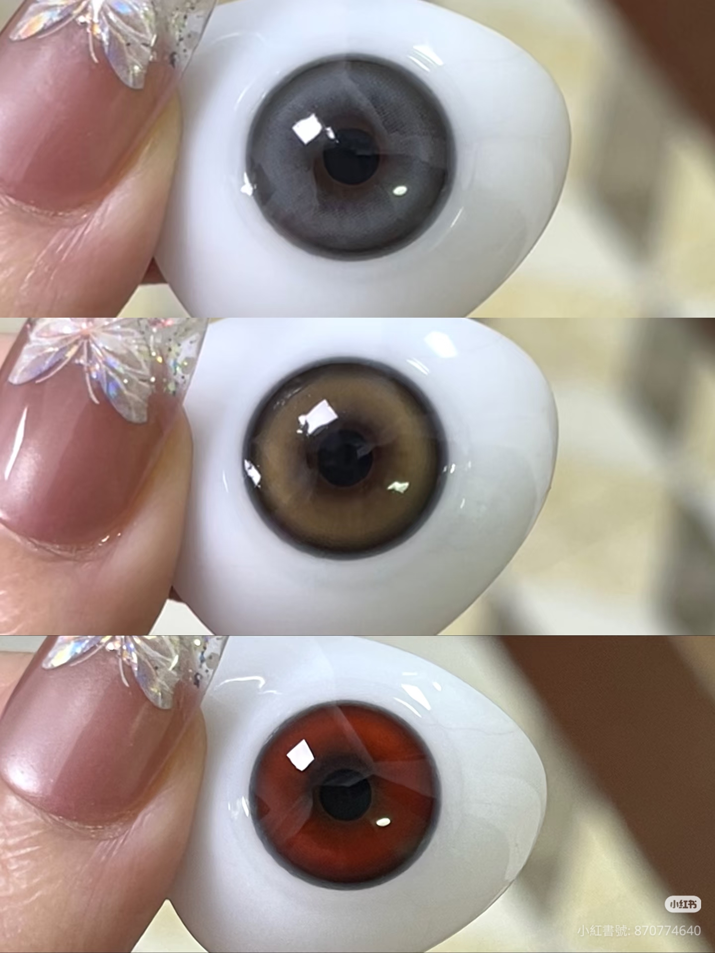 Dgugulens 日拋 豆豆系列