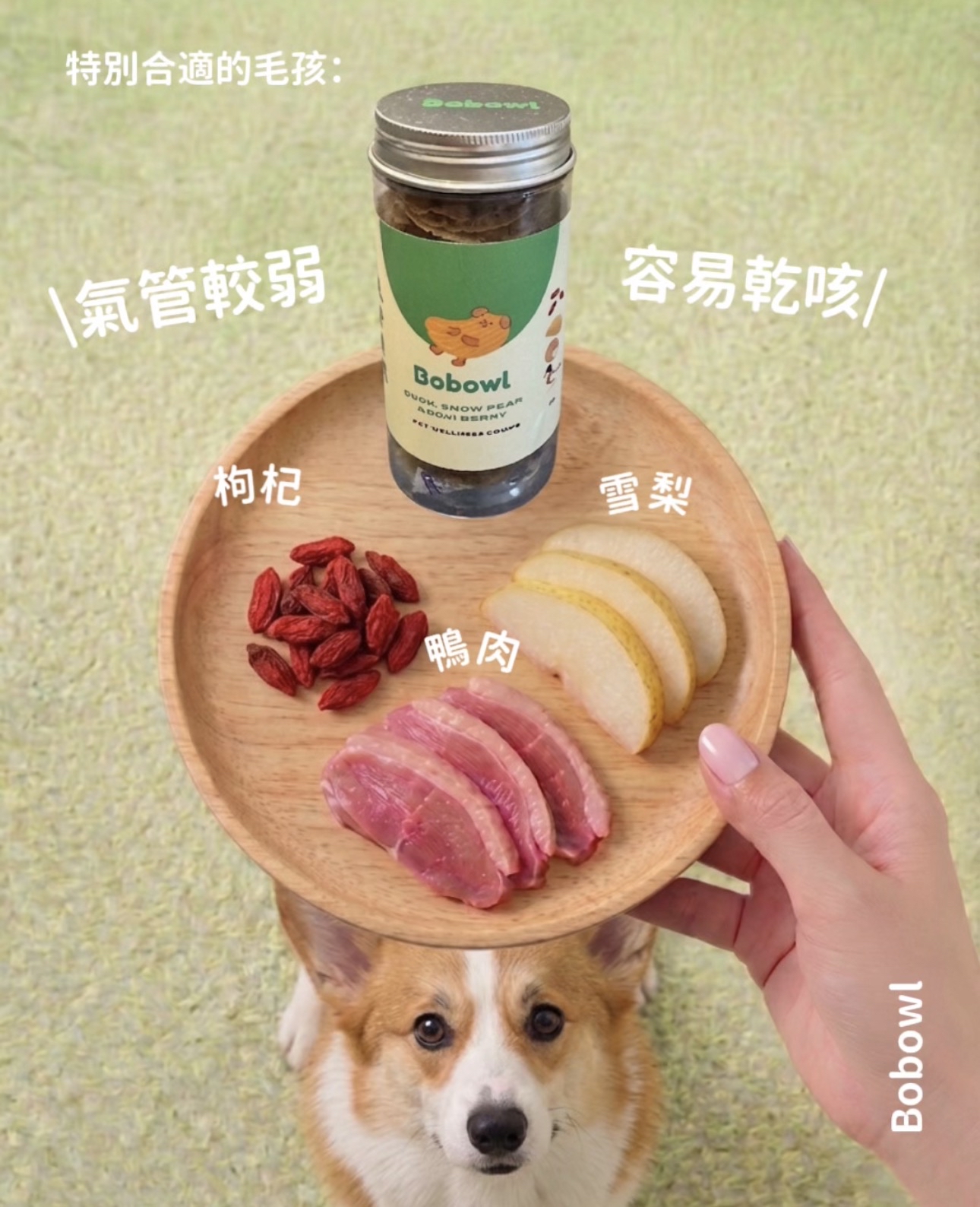 🦆鴨肉養生脆片・氣管清潤 