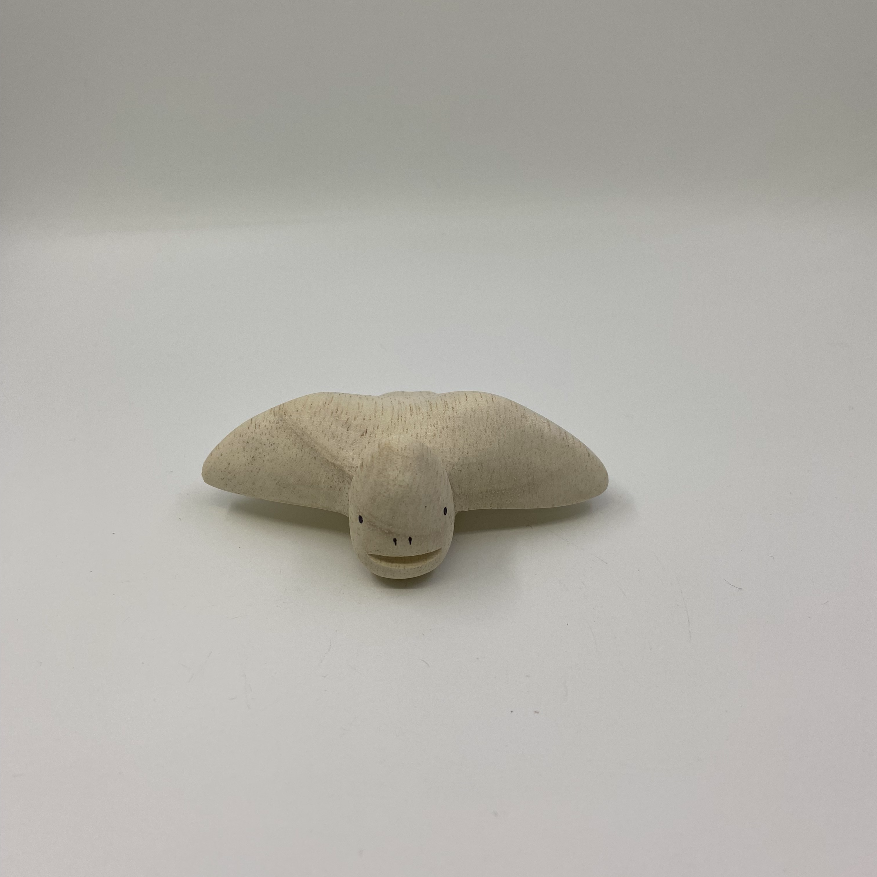 恐龍系列 - 無齒翼龍 (Pteranodon)