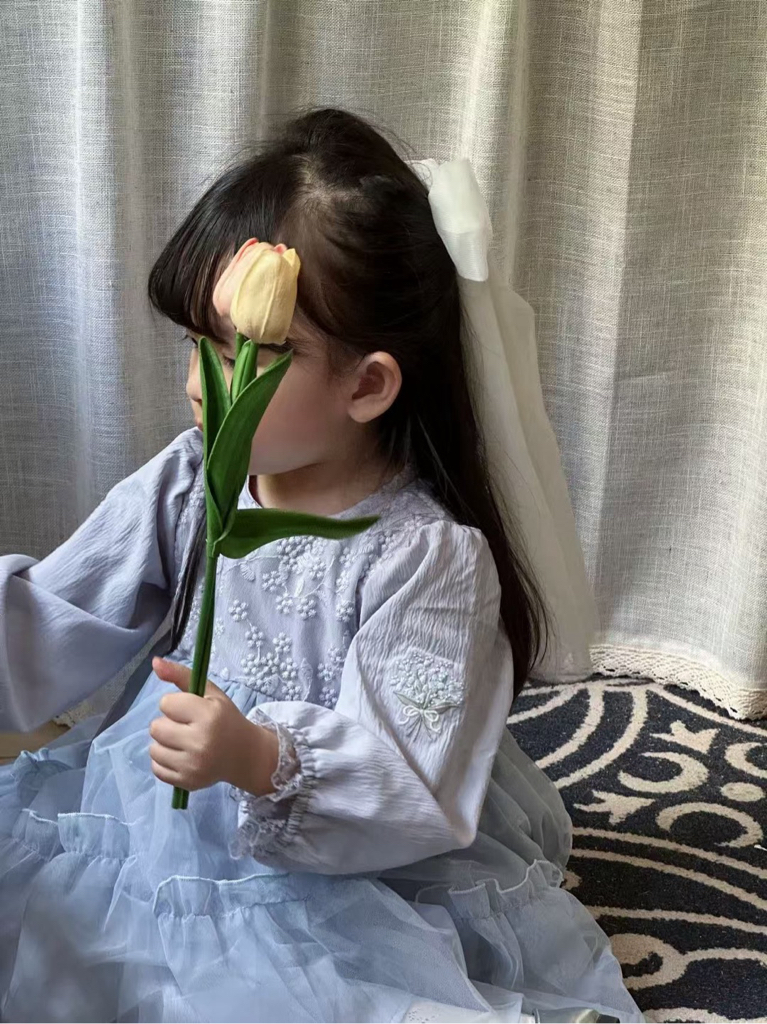 B0019小木馬紗裙