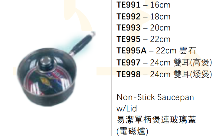 TE996/24CM易潔單柄煲