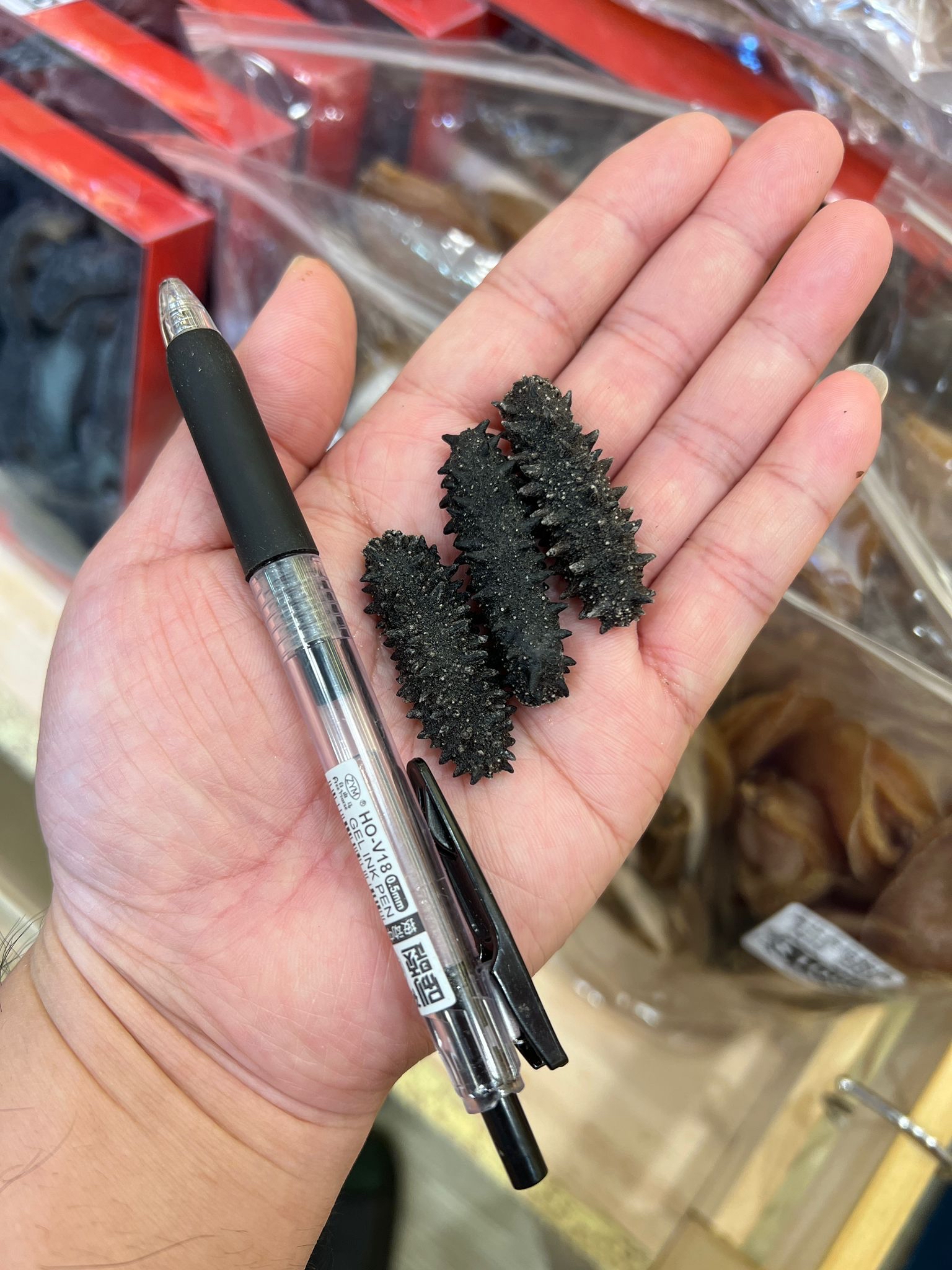 日本野生北海道刺參（枝幸產約130支）