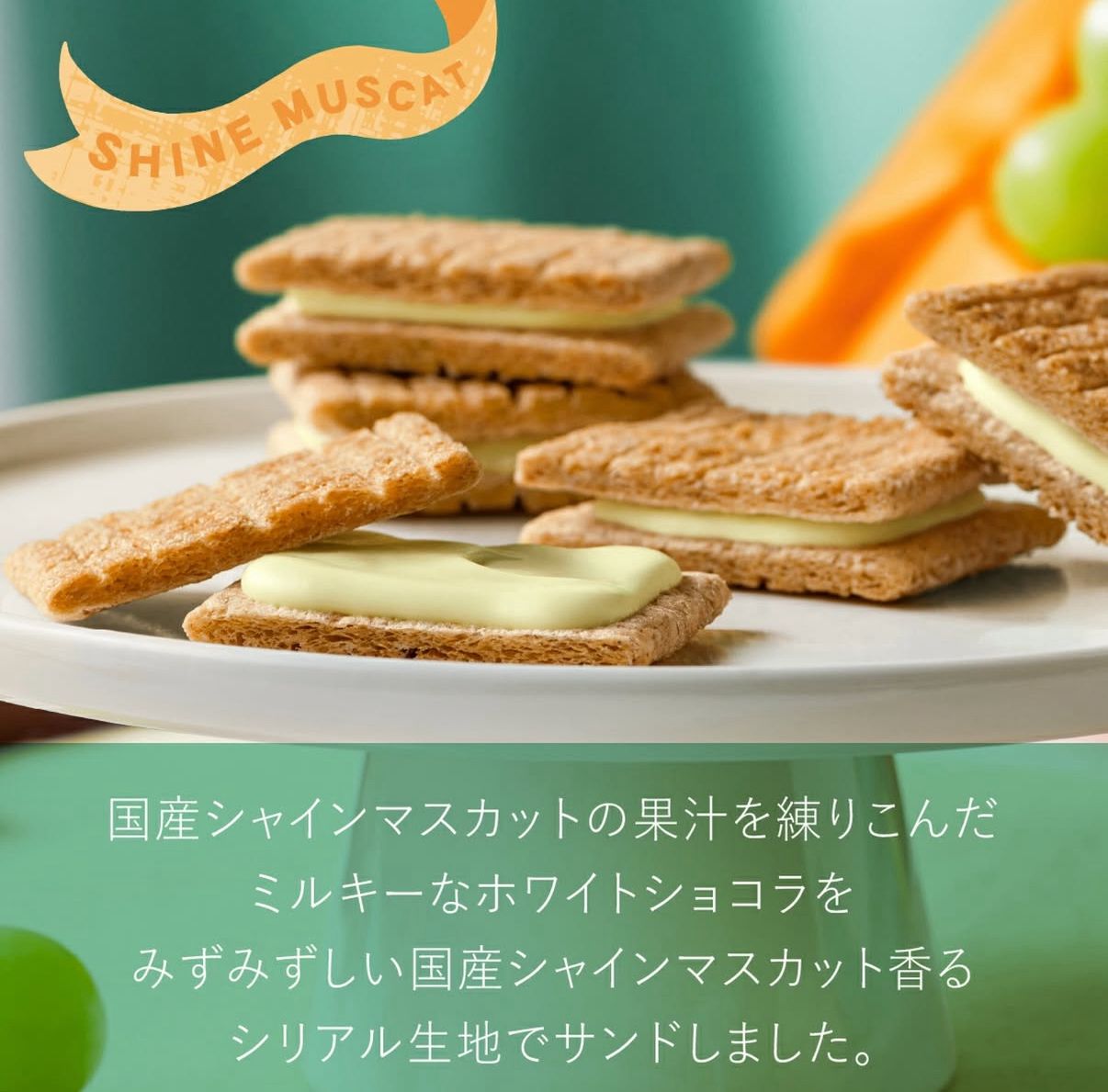 日本直送 【Sugar Butter Sand Tree】麝香提子味丨季節限定 (日本15/4 公開發售)