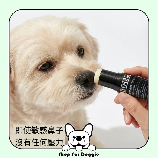 [訂貨2-3星期] 韓國 Hyponic 低敏保濕腳掌膏 Moist Butter Balm 15g