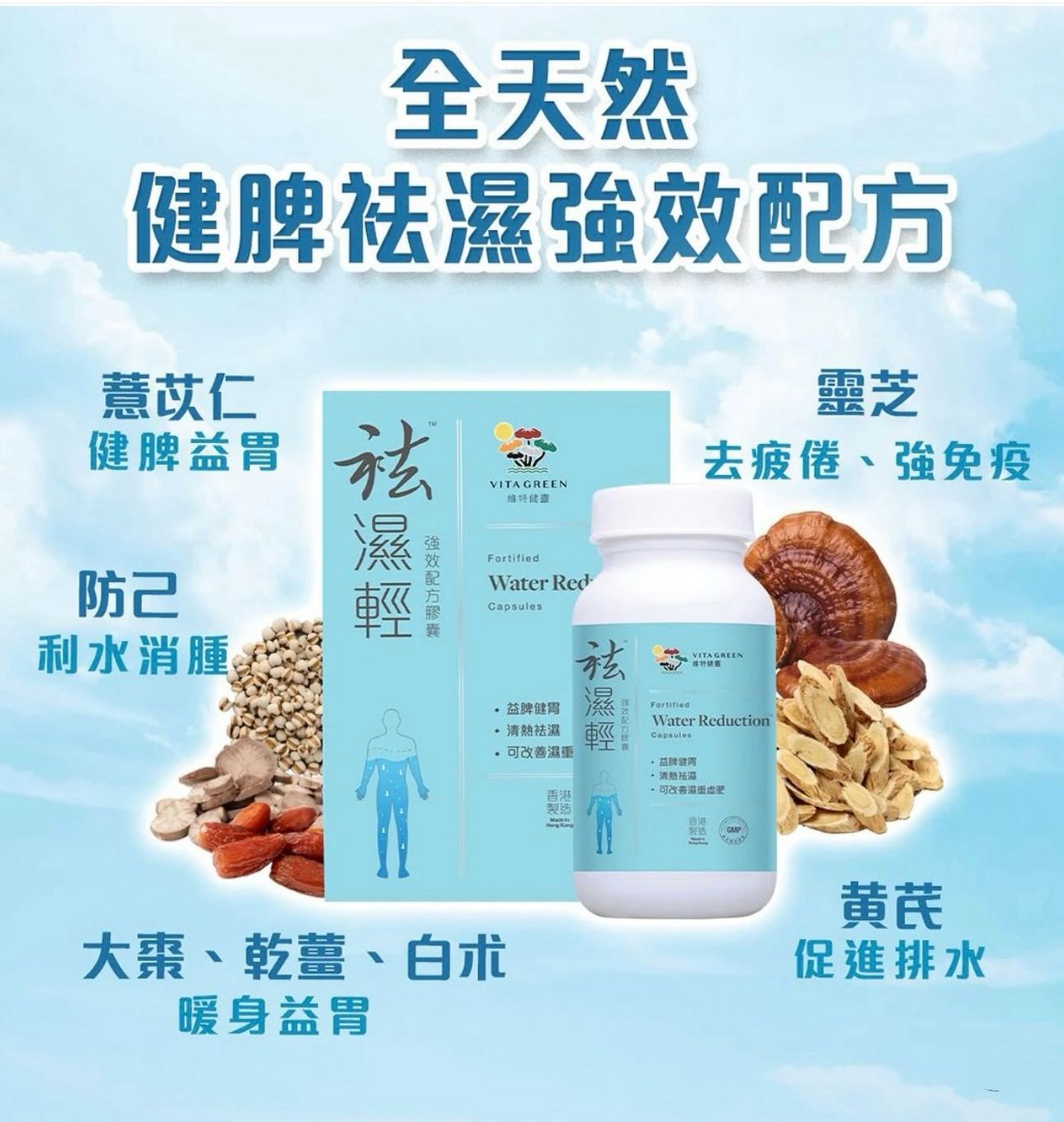 Vita Green維特健靈祛濕輕 40粒 (萬寧版) ⏰預購商品⏰