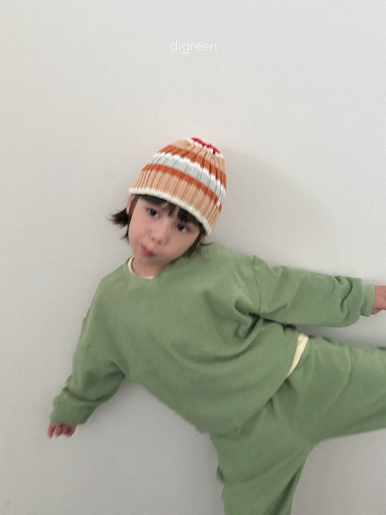 Digreen | multi beanie 
