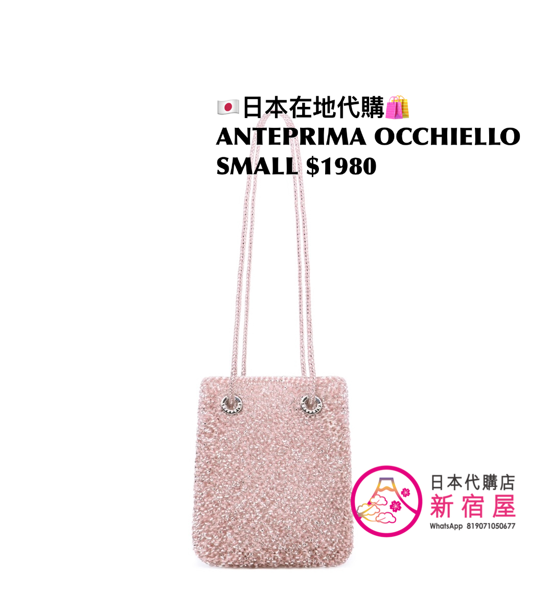 ANTEPRIMA OOCHIELLO SMALL