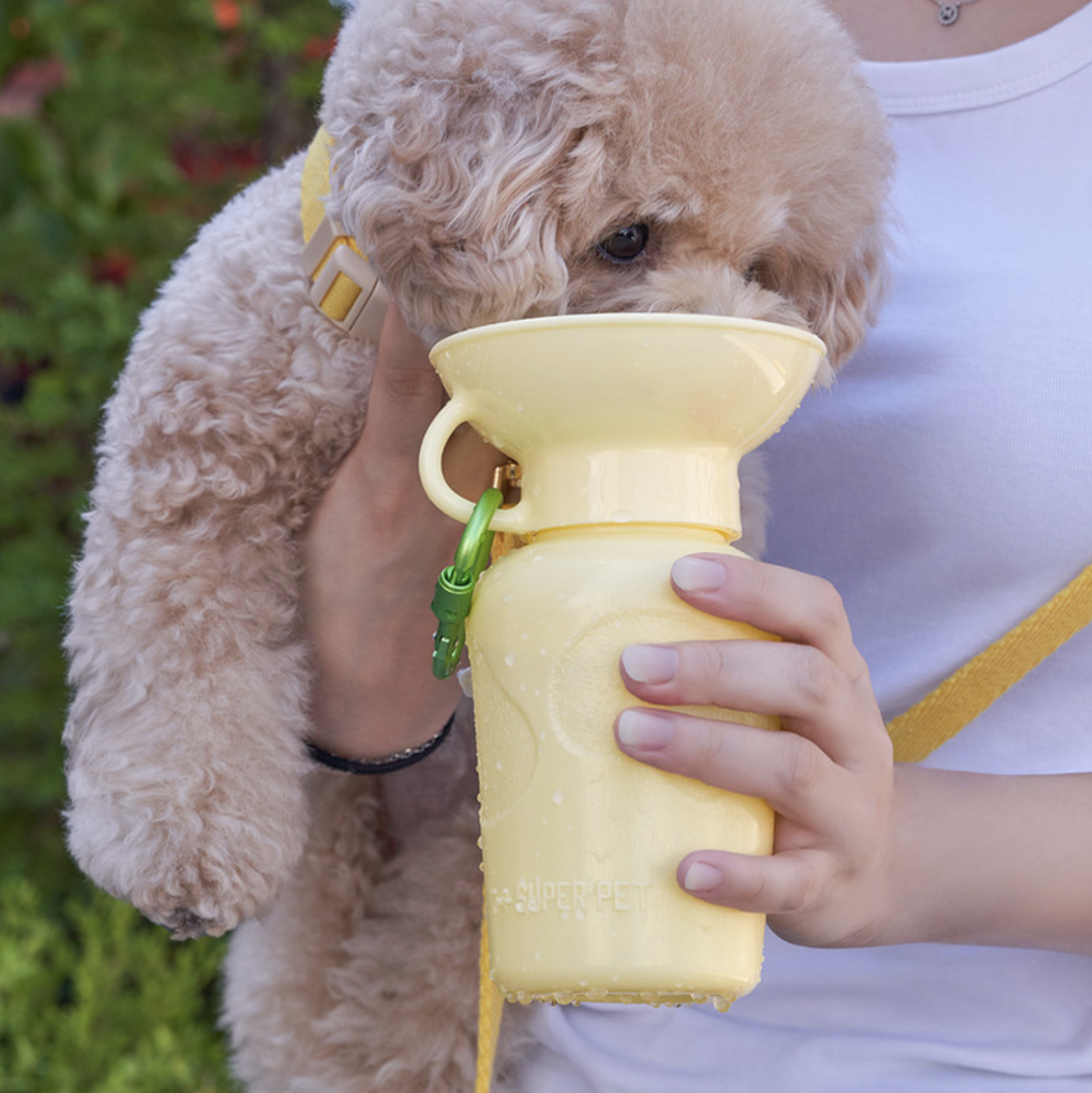 *Super Pet🇰🇷手提寵物充氣水樽