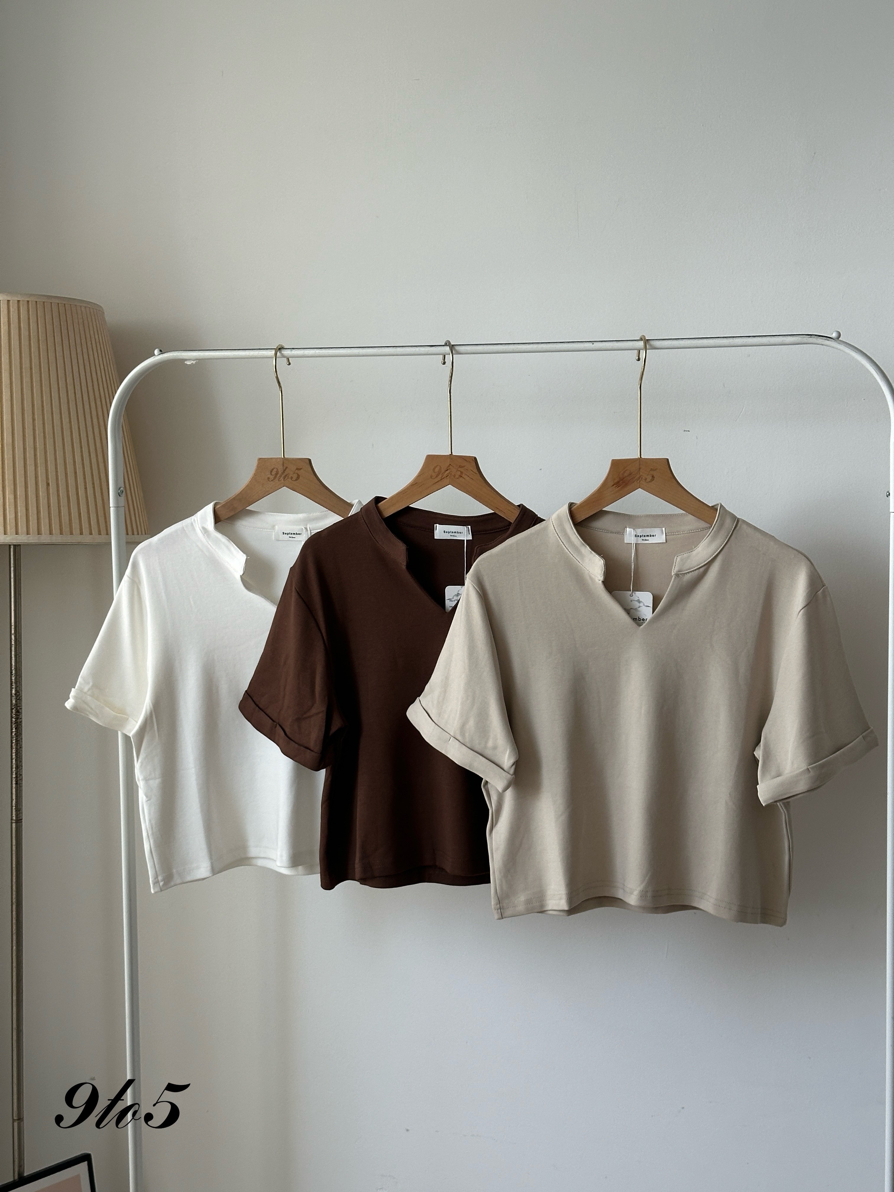 T3977 V Neck Shirt - 5 Colors