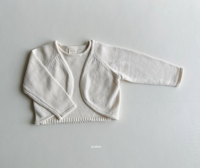 🇰🇷azalea背心+外套