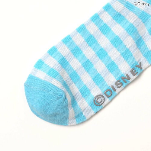 🆕【⭐訂購⭐】🇯🇵 日本直送 🌀#DisneyPrincess 刺繡貼片 格紋 撞色荷葉邊 短襪［3款選］🌀[ELFA-0184][260723]