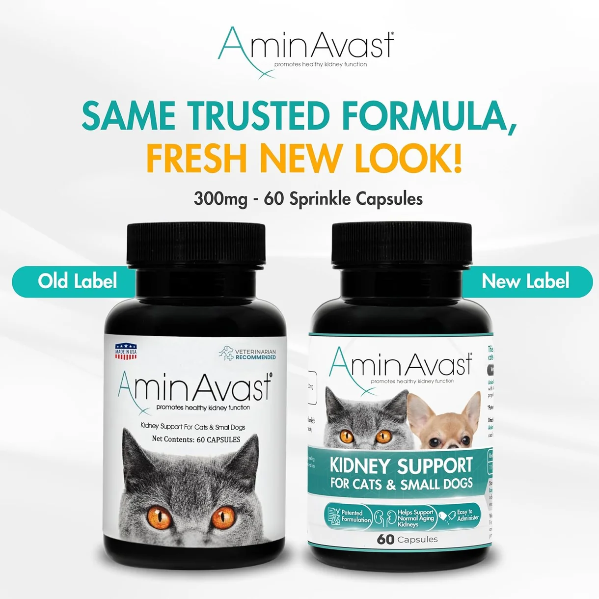 AminAvast 胺腎 60粒 小型犬及貓咪適用