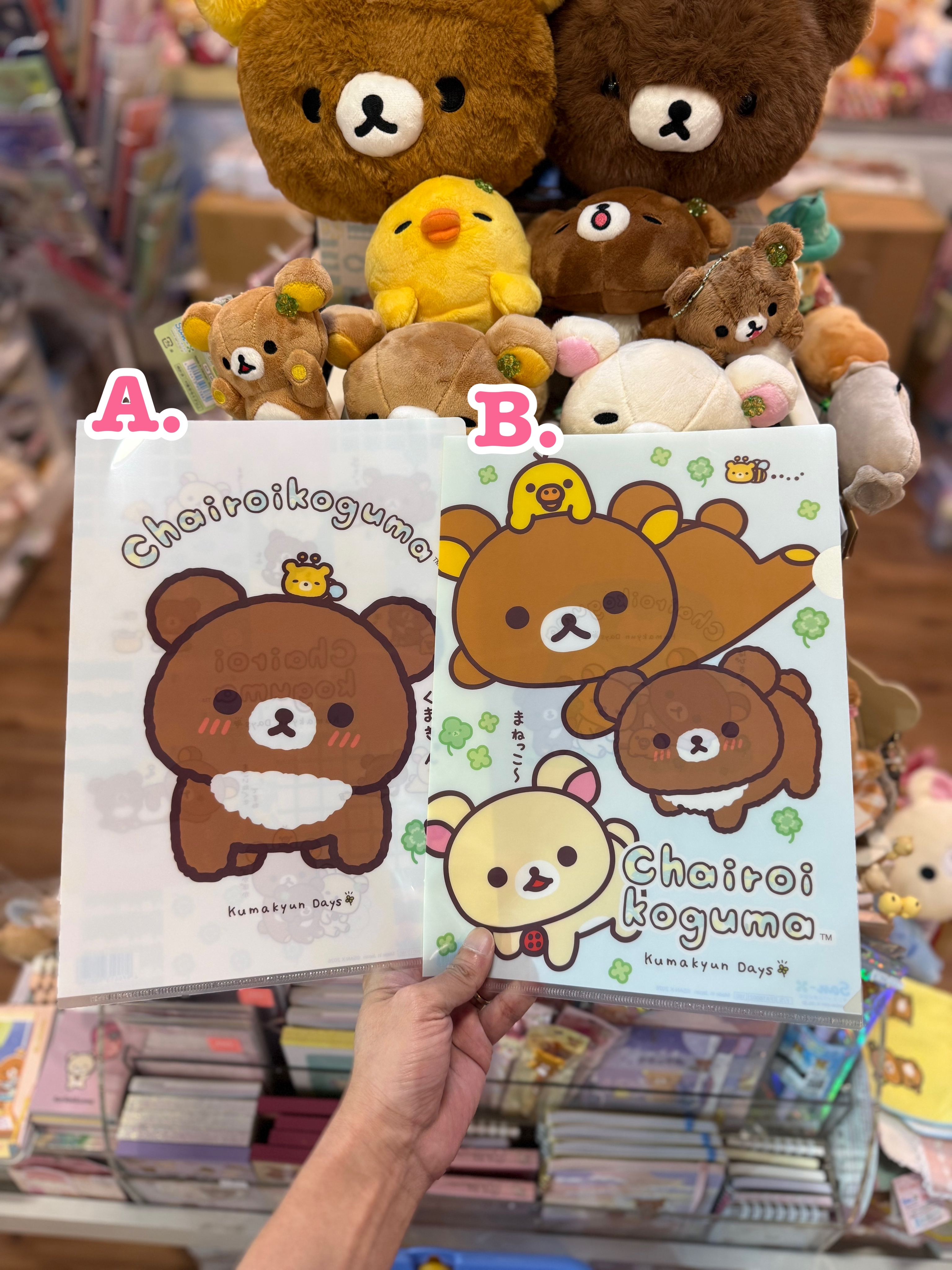 《現貨》全新小熊10週年紀念四葉草系列A4 file