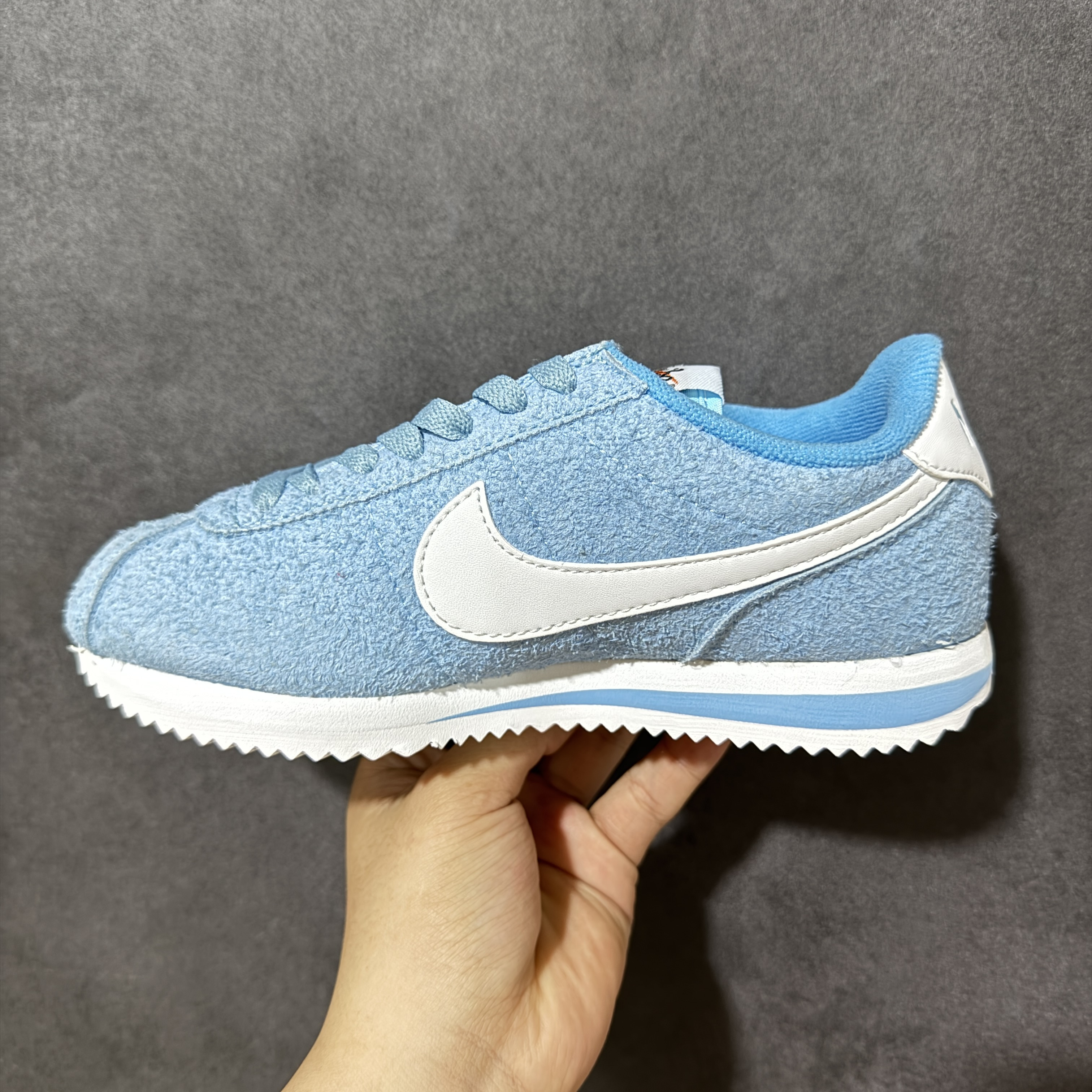 Nike Cortez Textile FJ2530-400