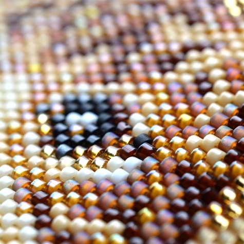 DB Card holder kit set