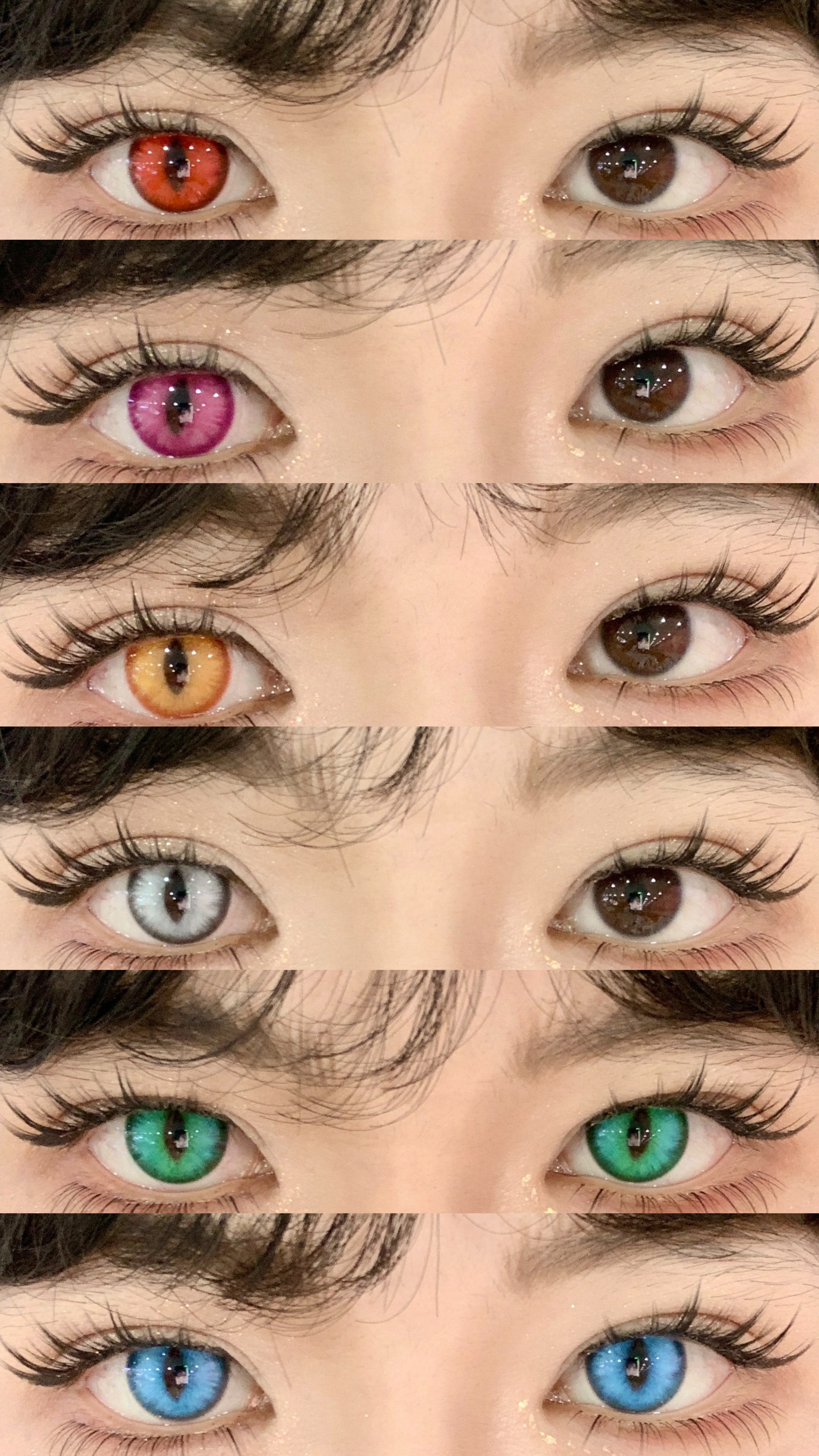 Doya 日拋2片 龍之目定軸版