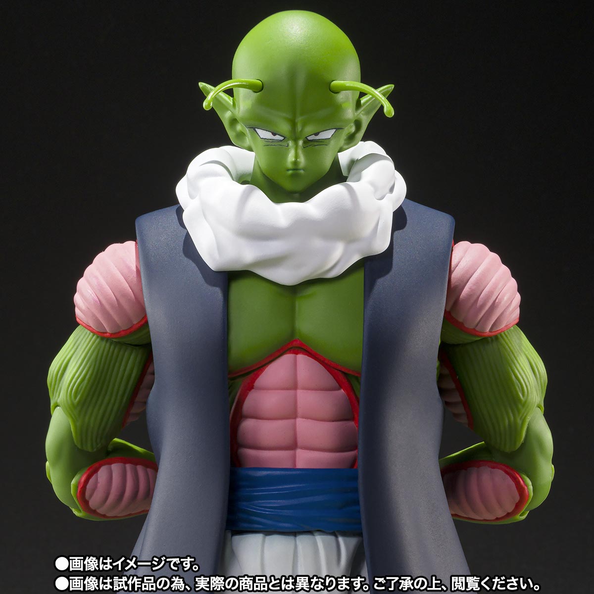 SHF Dragon Ball Z Nail
