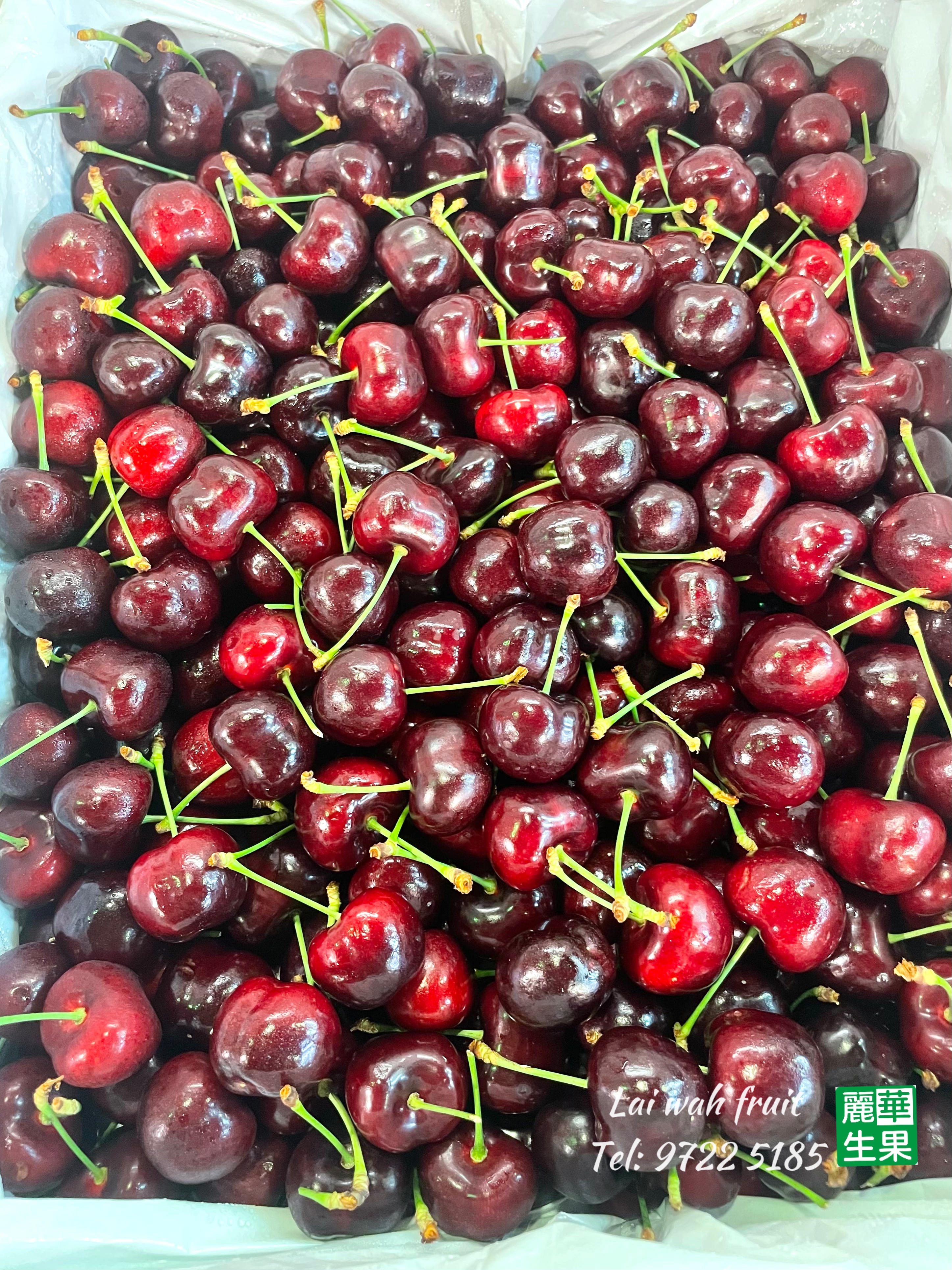 【🇺🇸美國車厘子8.5R🍒】