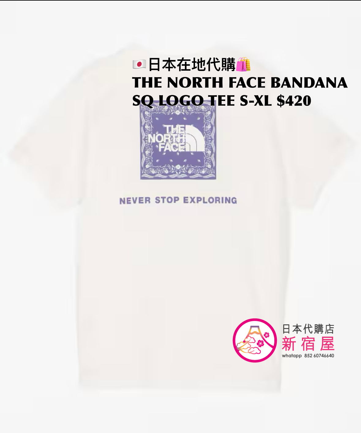 THE NORTH FACE BANDANA SQUARE LOGO T-SHIRT
