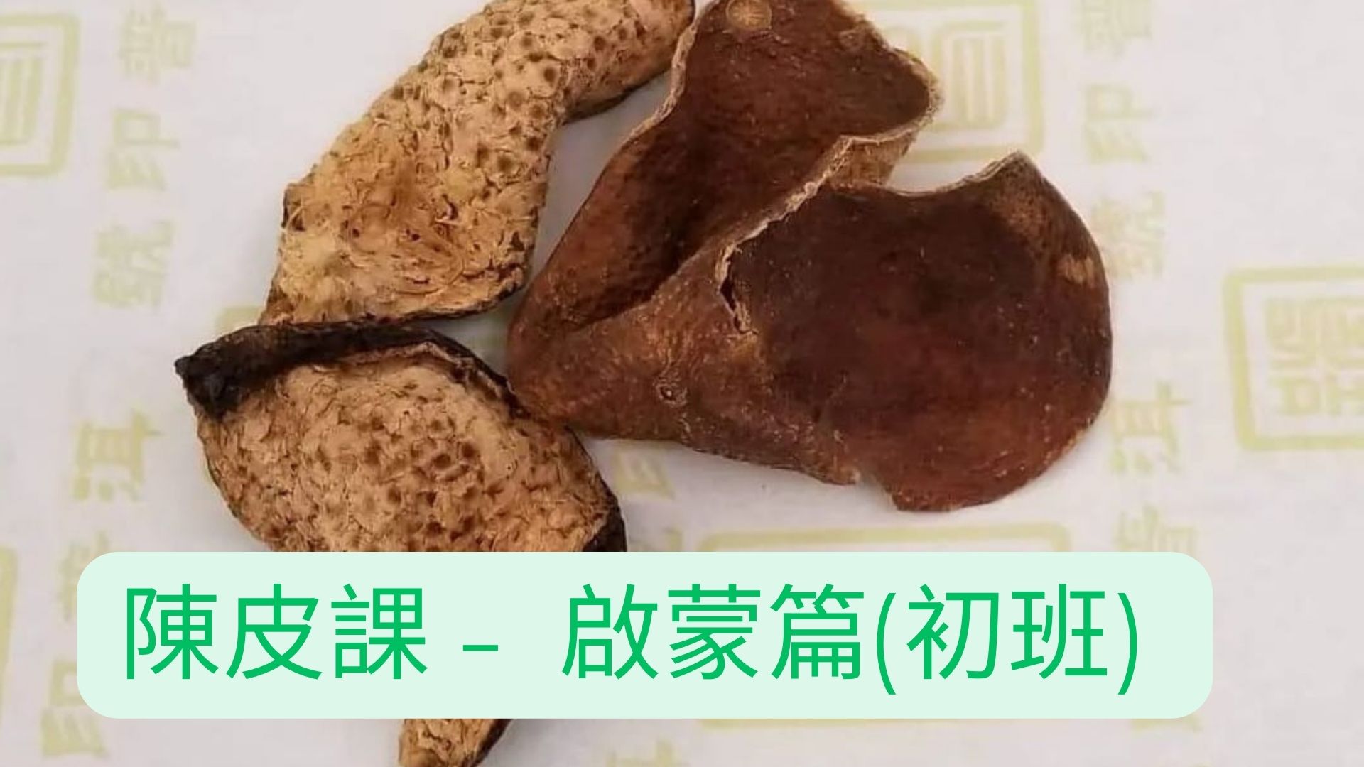 一天課-陳皮(初班) 啟蒙篇 - 陳皮初體驗：從零開始認識陳皮的奧秘 - 4人成班