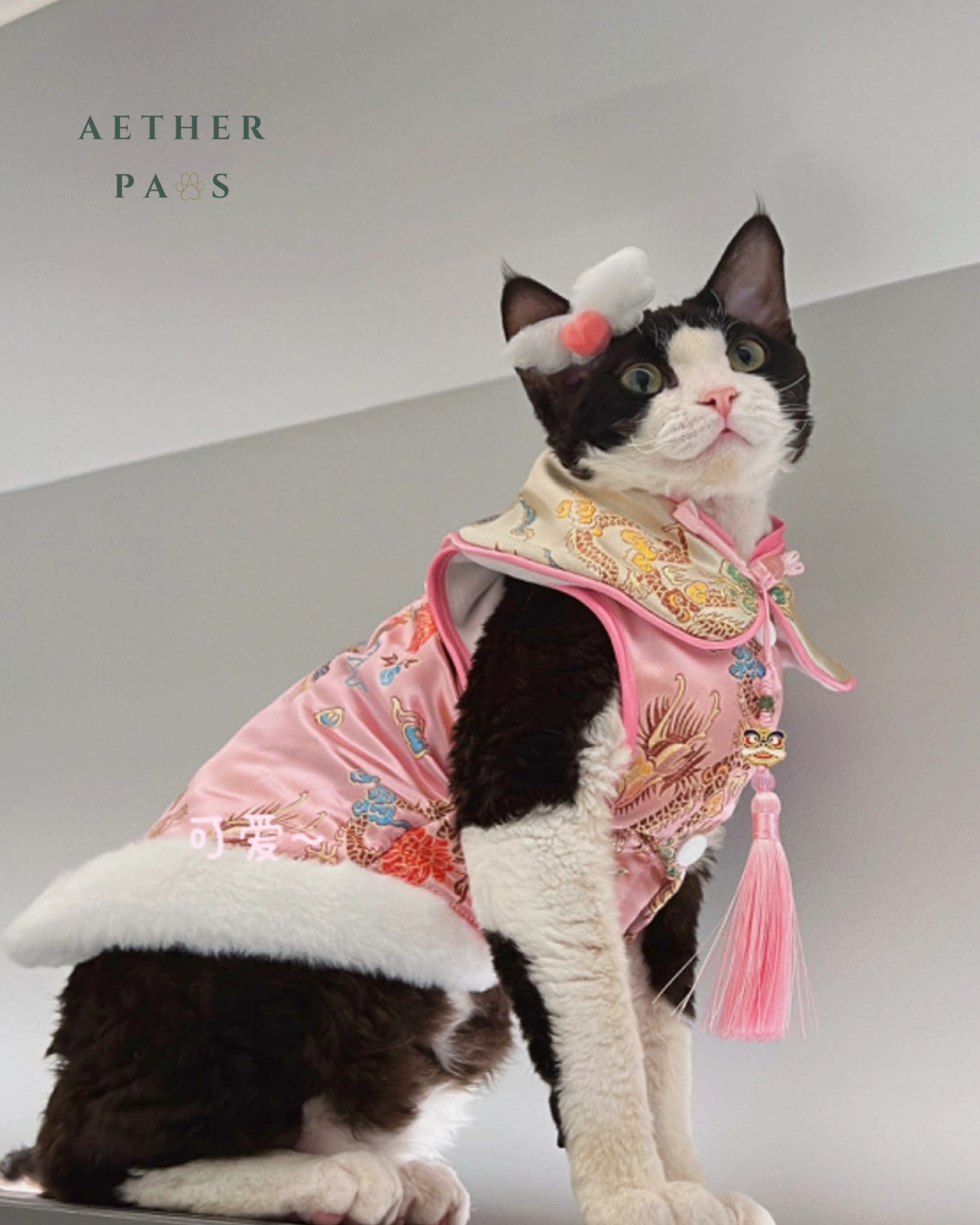 Velvet Mandarin Cheongsam