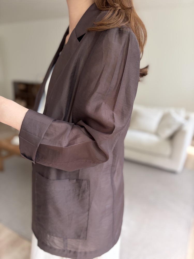 The Fine Silky Blazer (Brown)