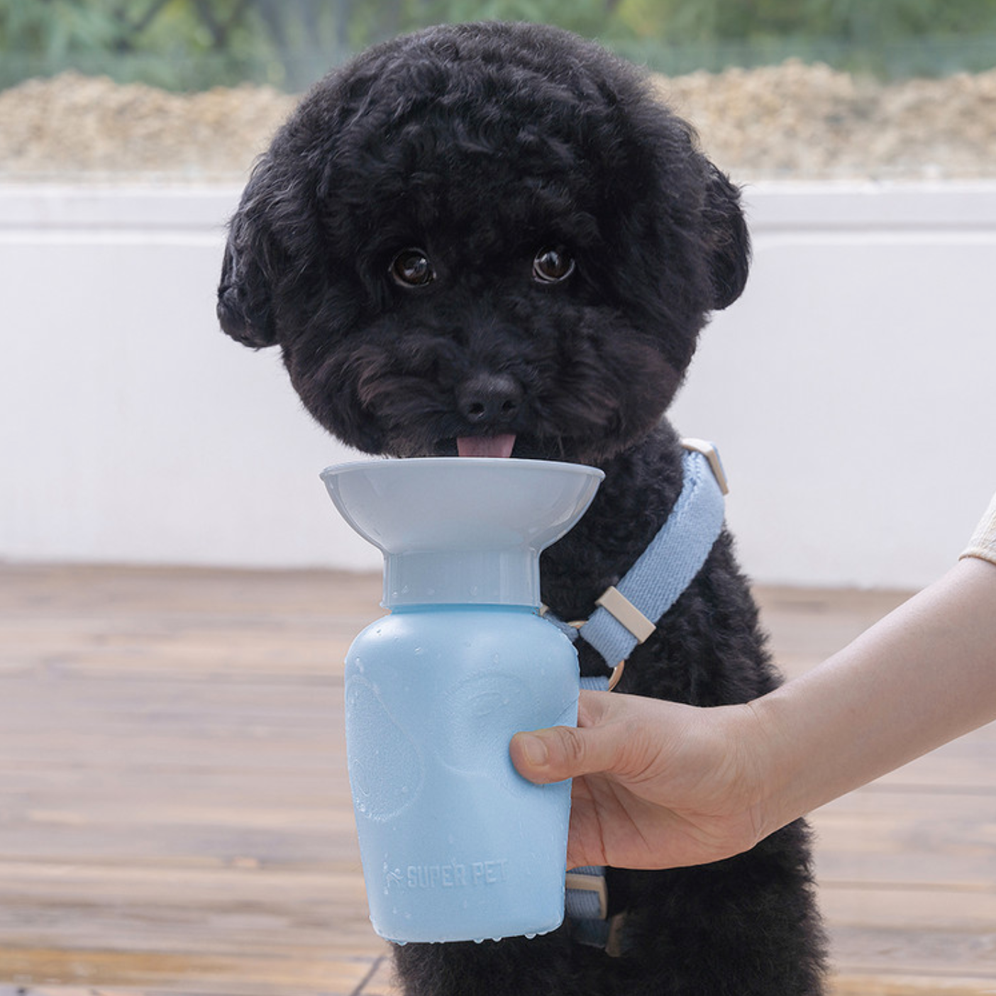 *Super Pet🇰🇷手提寵物充氣水樽