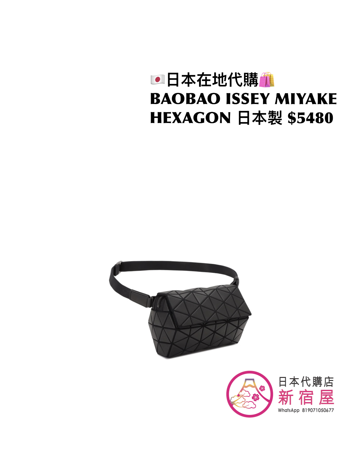 BAOBAO ISSEY MIYAKE HEXAGON