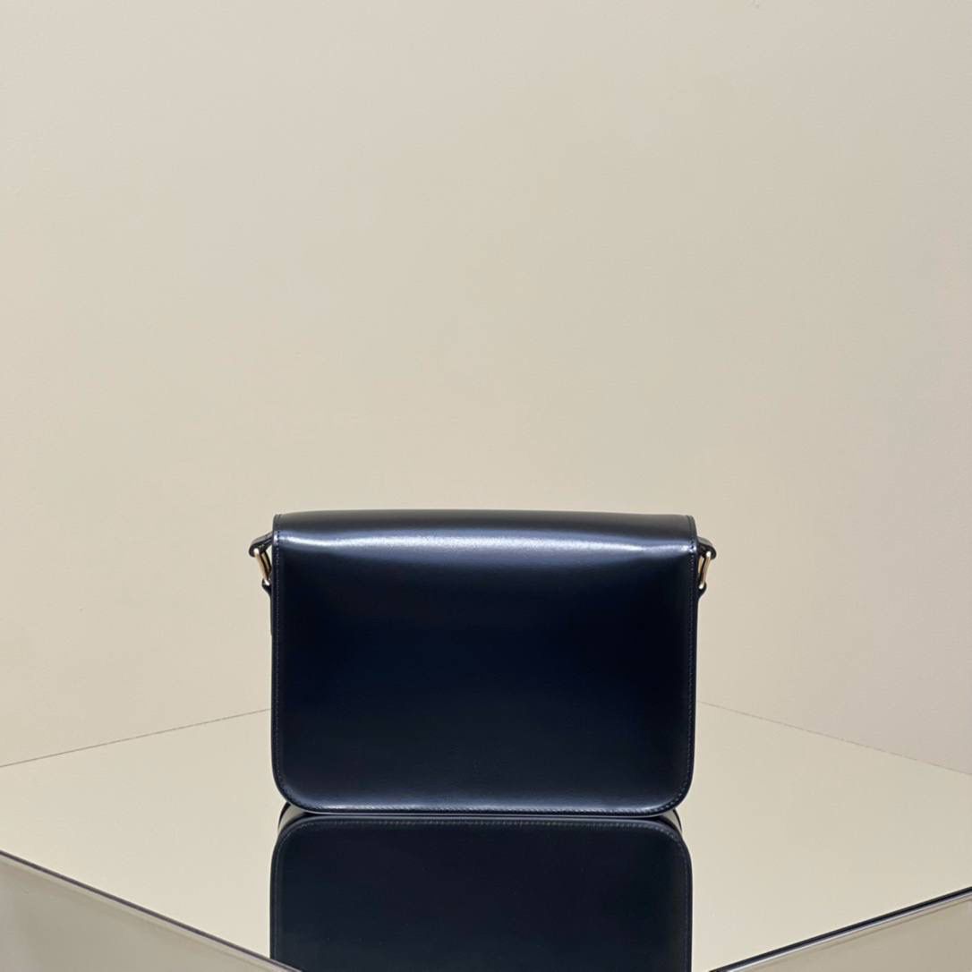 🔥大货实拍图 𝗖𝗘𝗟𝗜𝗡𝗘 ♥ 𝗧𝗥𝗜𝗢𝗠𝗣𝗛𝗘 𝗕𝗢𝗫 型号：187363 中号尺寸：22.5*16*7cm 小号尺寸：18.5*14*6cm