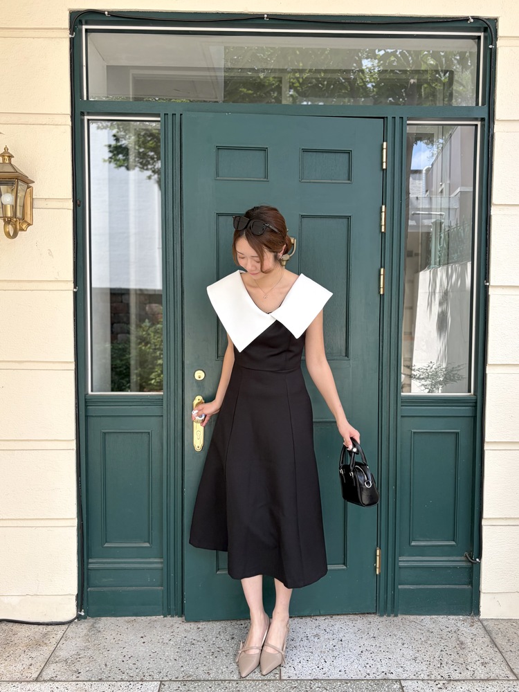 Celine Contrast Collar Dress