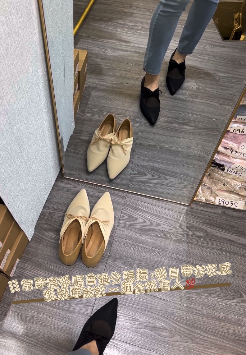 S001🇰🇷韓國超人氣暮紗尖頭鞋