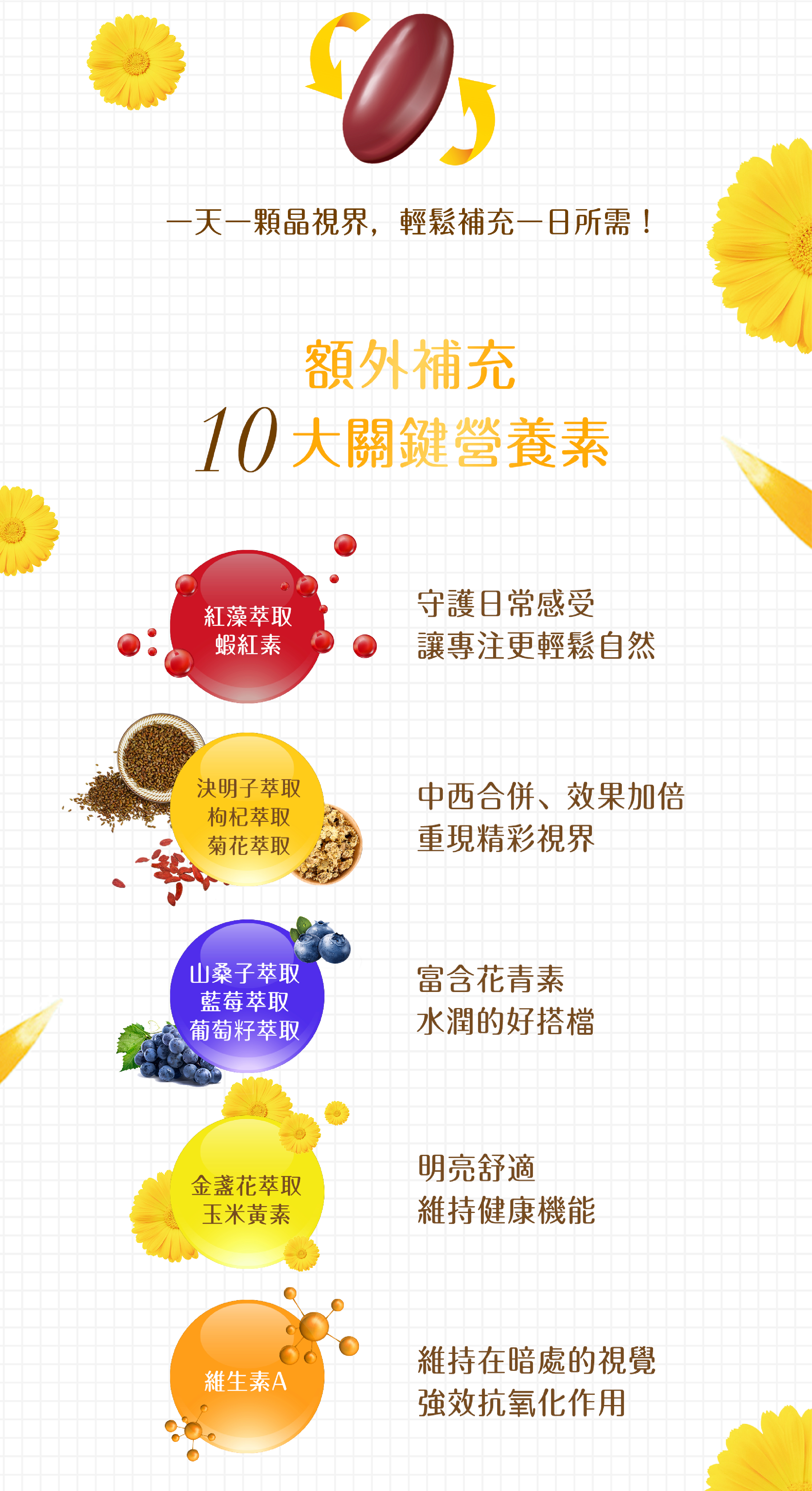 台灣直送 晶視界 30粒 高單位30mg 葉黃素