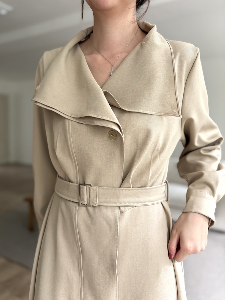 Classic Flared Trench Dress (Warm Beige)