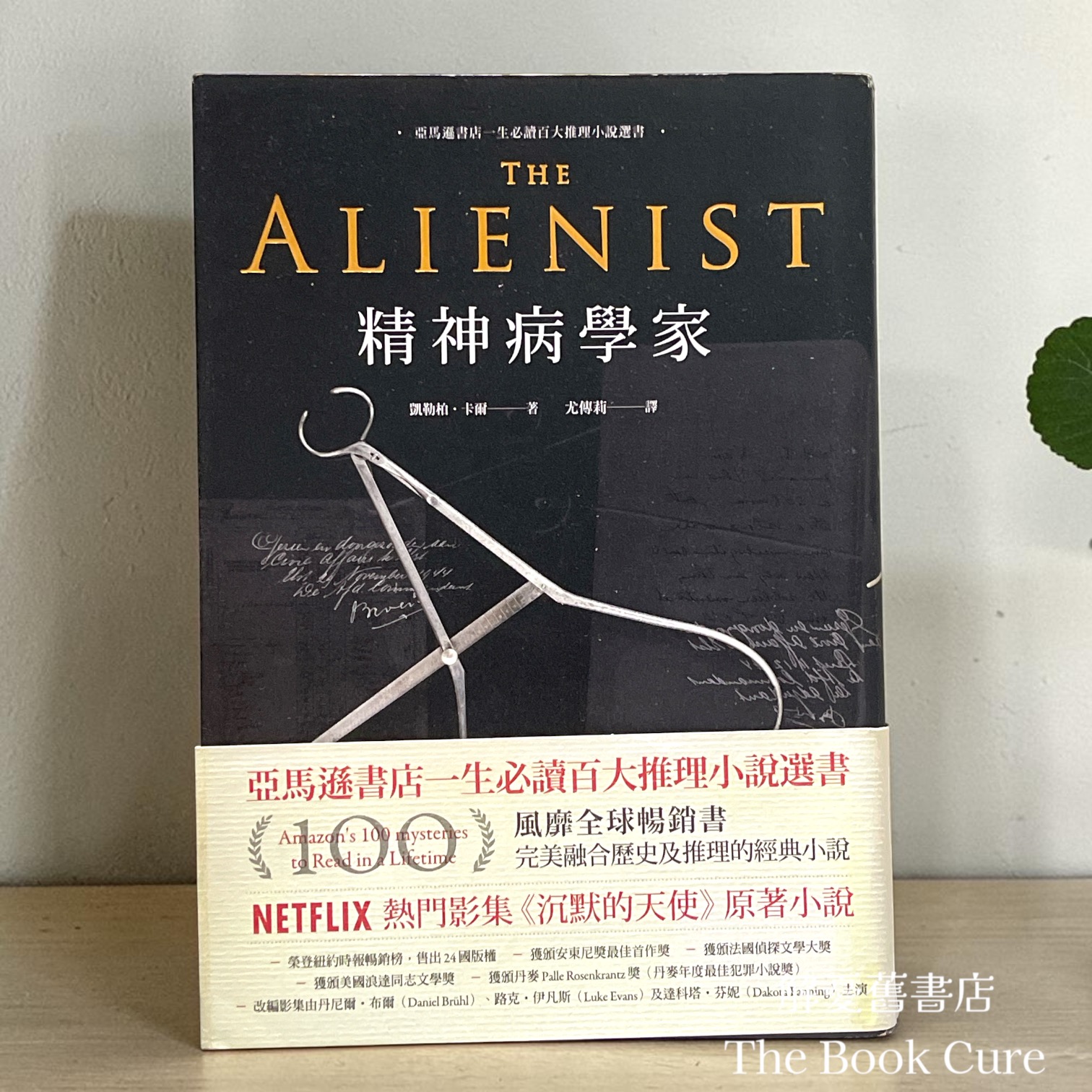 精神病學家 / 凱勒柏．卡爾 著