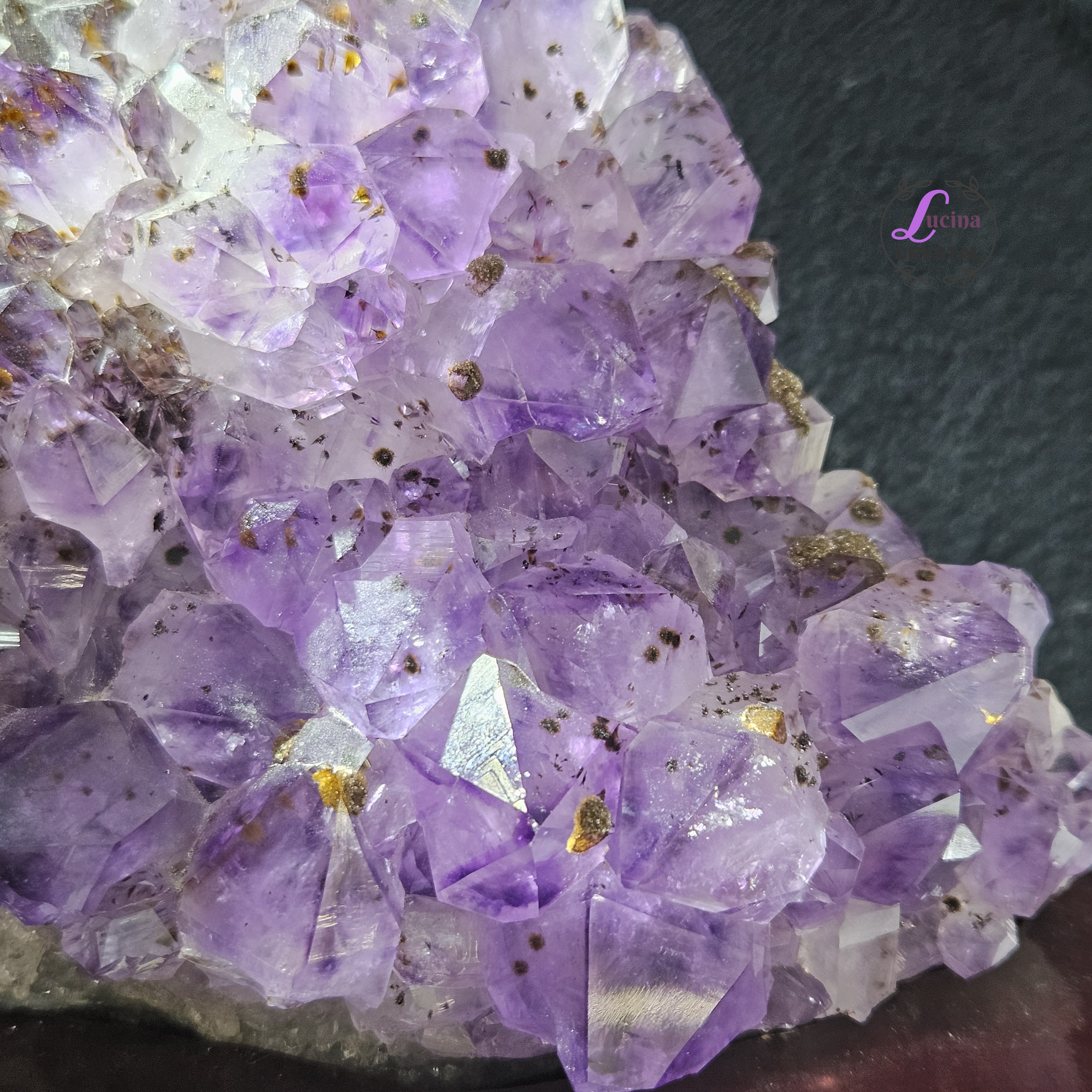 (Co#LC8556)紫鈦骨幹花水晶簇連木座/Elestial Amethyst Rutilated Flower Quartz Cluster w/wooden stand 