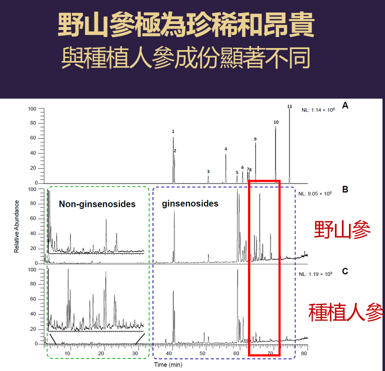 山參有約 - GINPACT®珍稀山參精華 ( 香港品牌、香港製造)