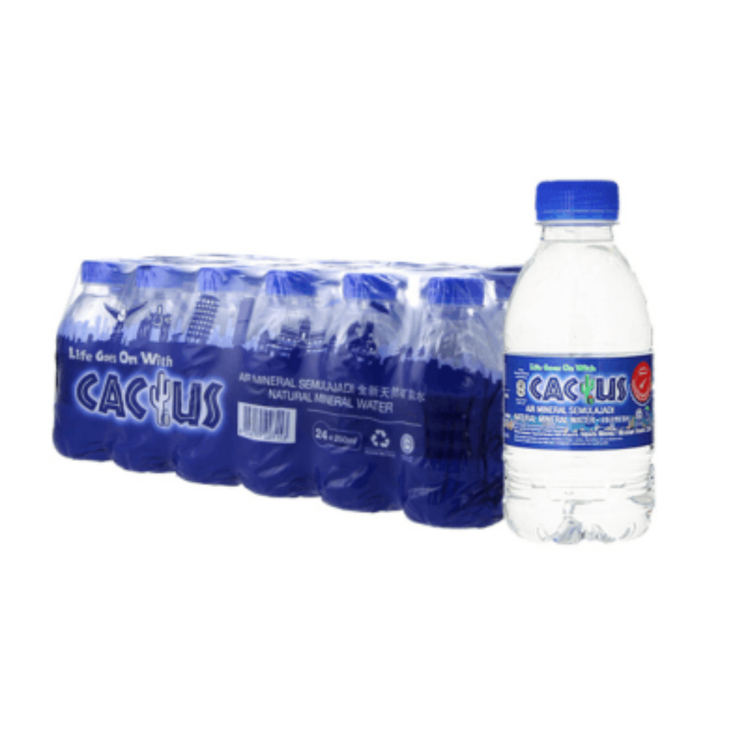 Cactus 250ml Mineral Water - Carton of 24 Bottles