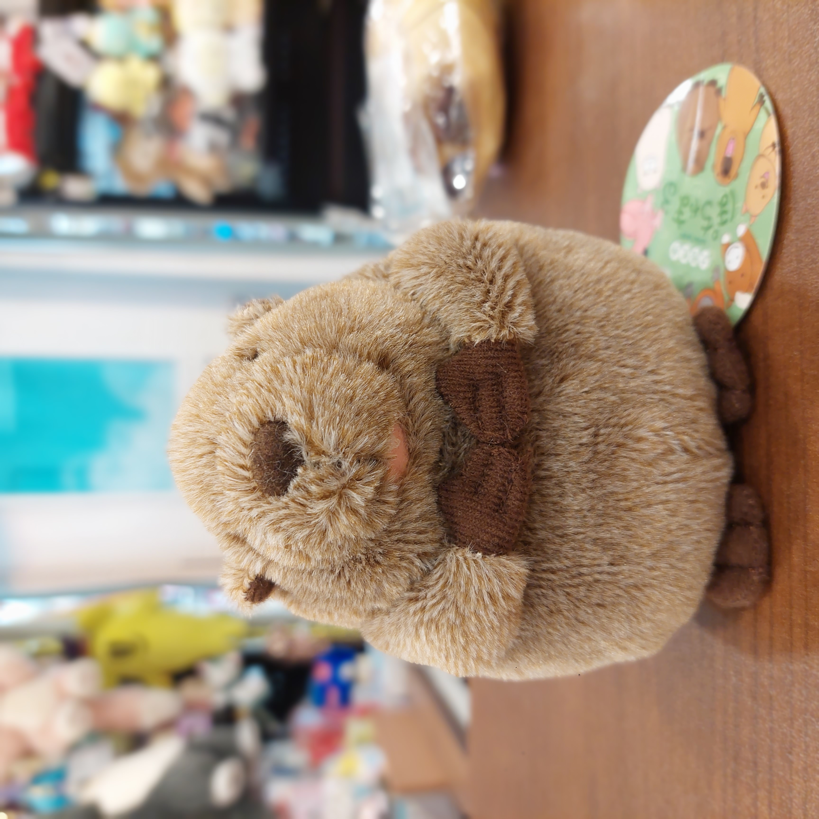 原裝日本可愛之選 土撥鼠 ＆ 小海狸公仔Beaver ＆ Marmot 小公仔 11- 12cm