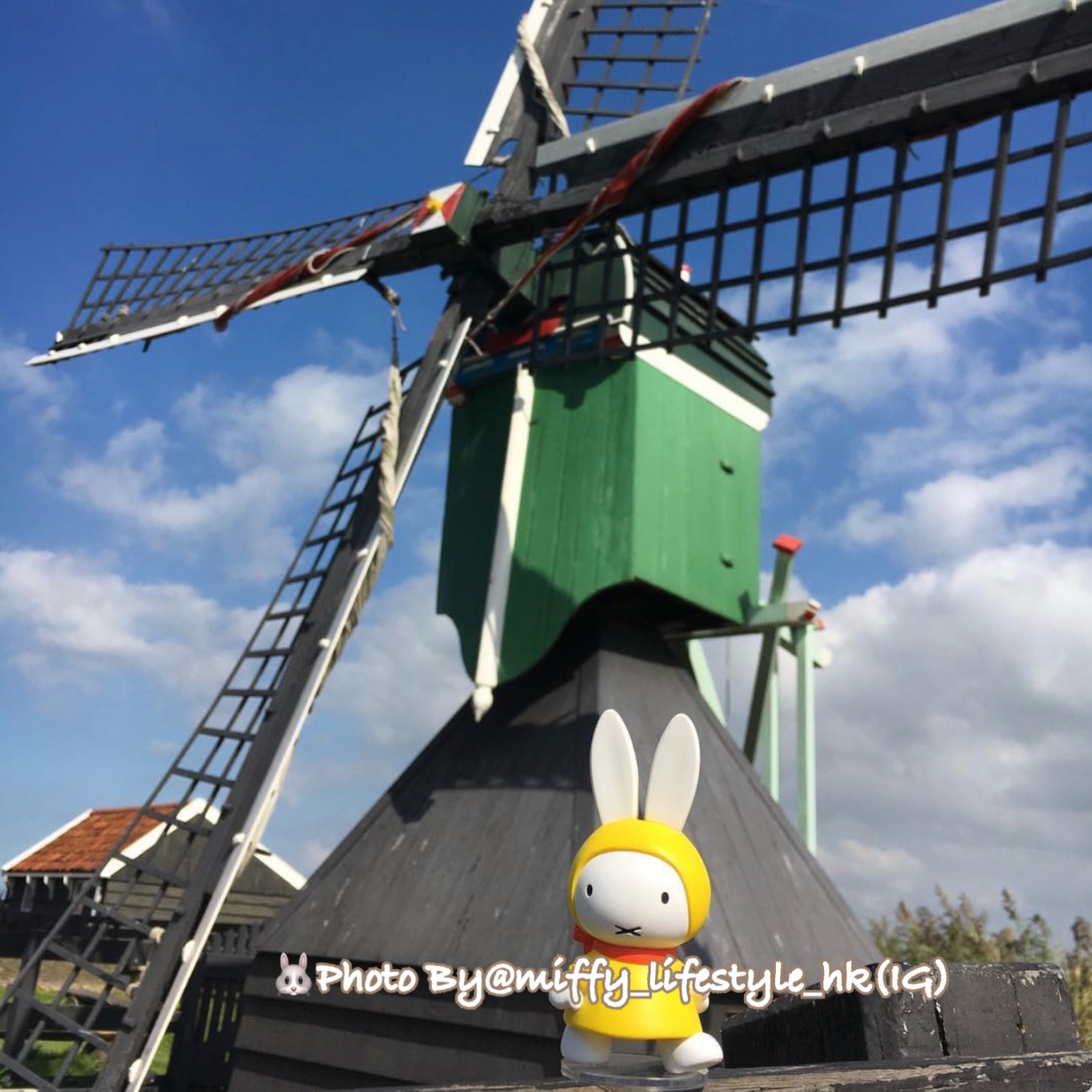 🐰 IG account 出現了問題 😔 內文有詳細資料