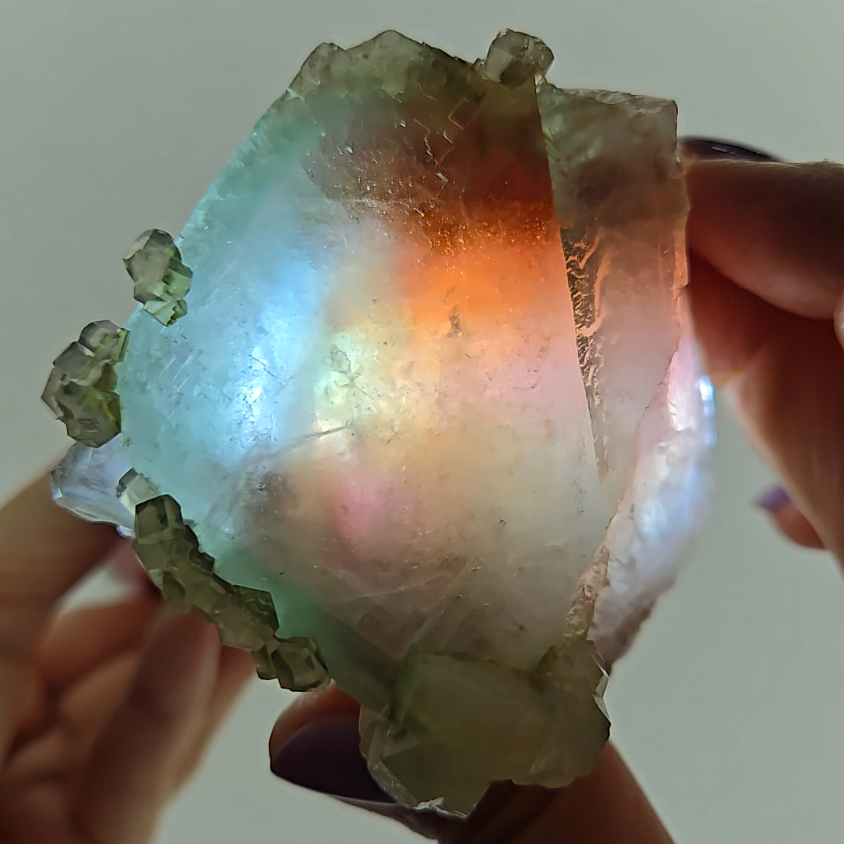 Red phantom fluorite with columnar UV calcite - FL232