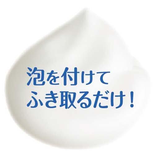 LION 犬貓用潔淨除菌免冲洗清潔泡沫 250ml：輕鬆清潔，有效除菌