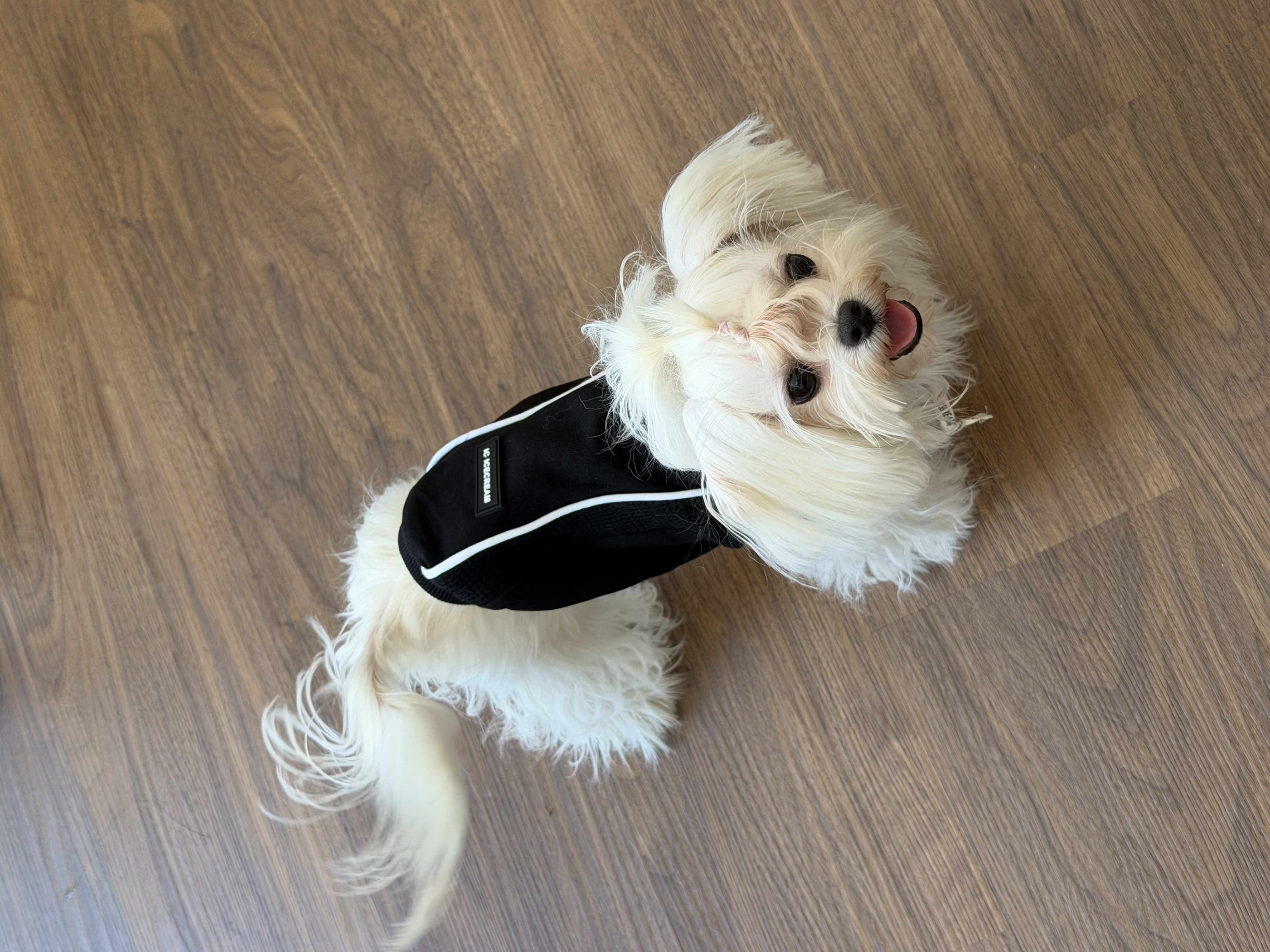The Dark Truffle Hoodie
