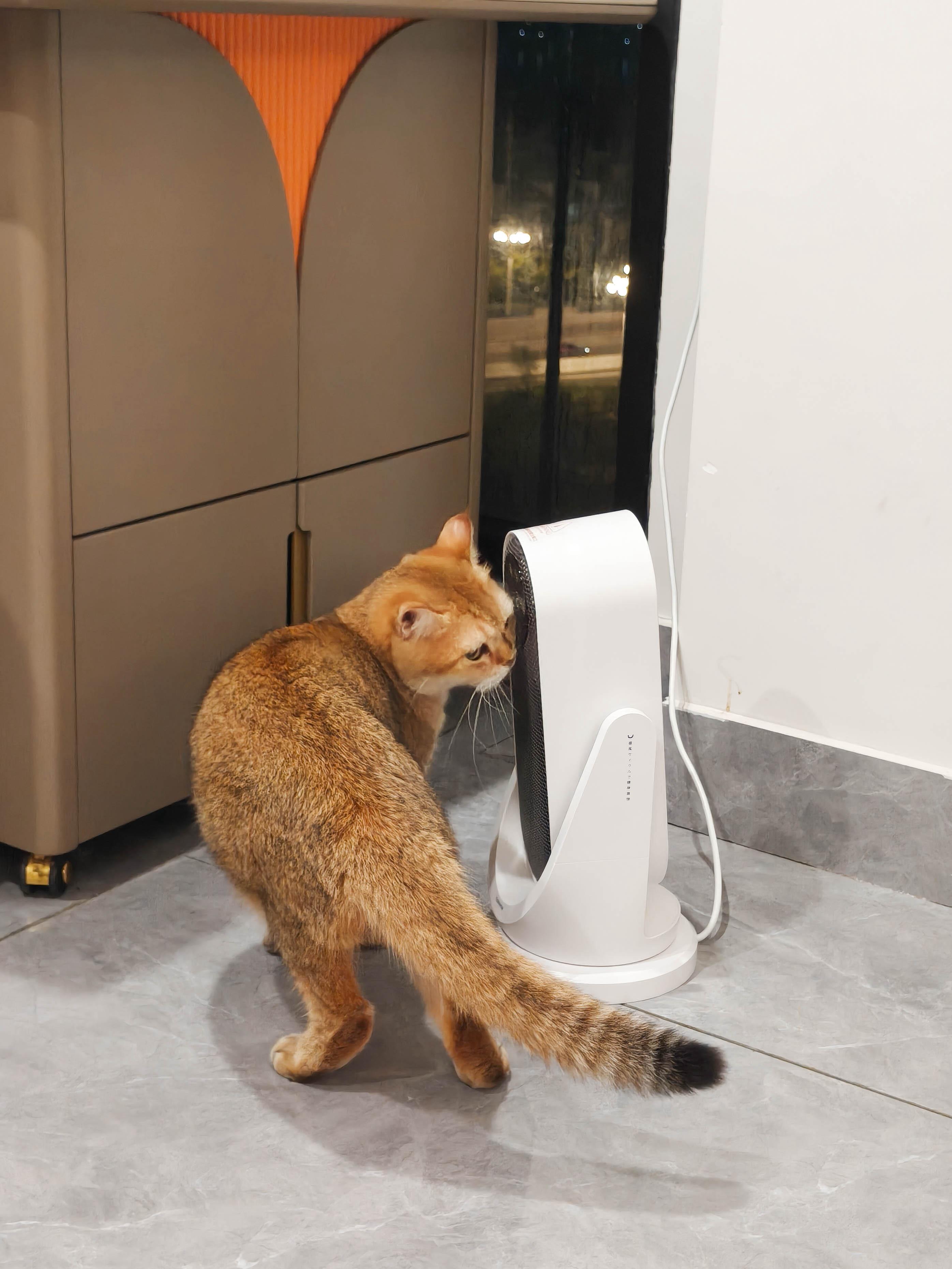 日本Yohome 全向自動4D搖頭均勻全身循環暖智感控開四季用暖風機PRO