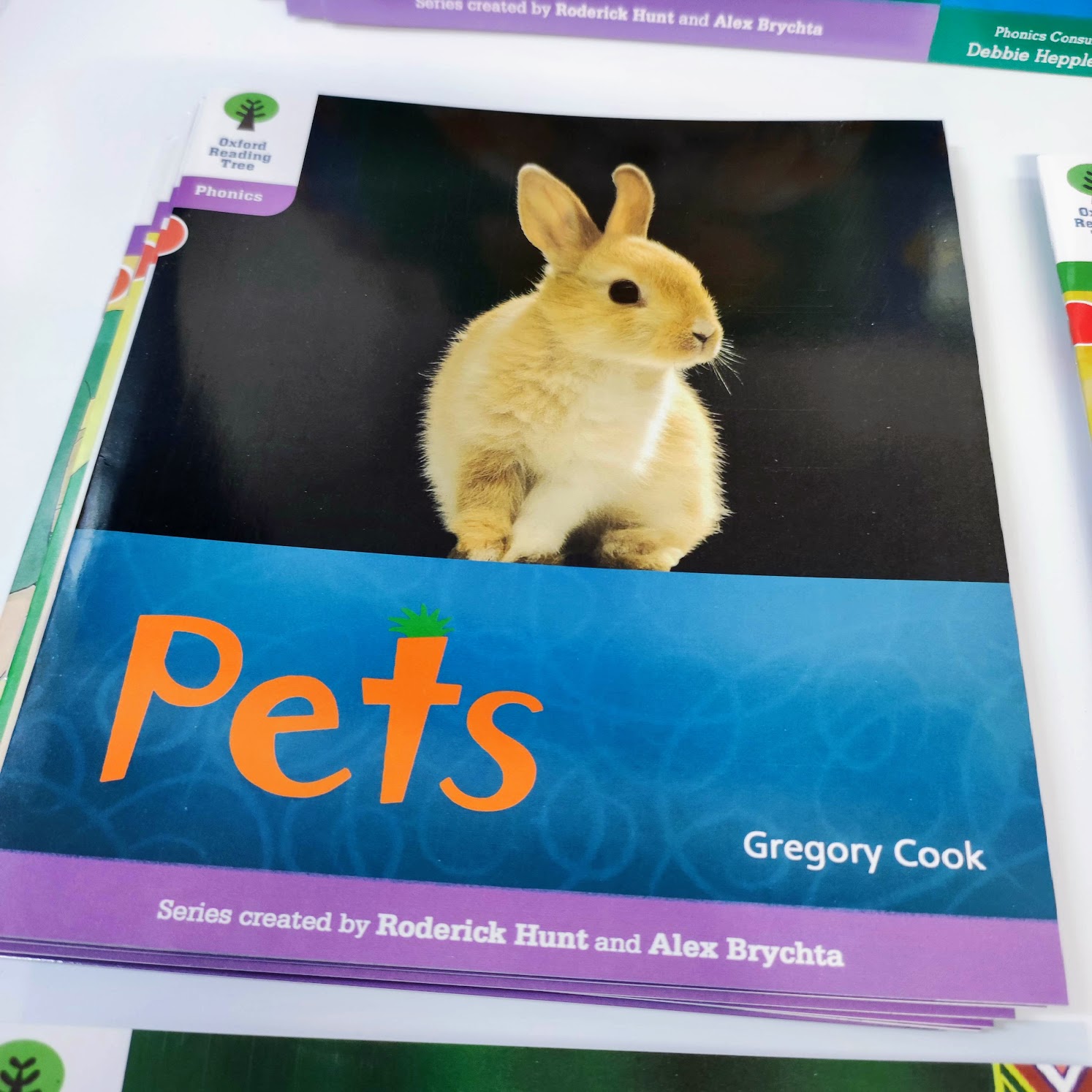 Oxford reading tree phonics (48 books)  | Floppy’s Phonics Level 1 and 2 | C59